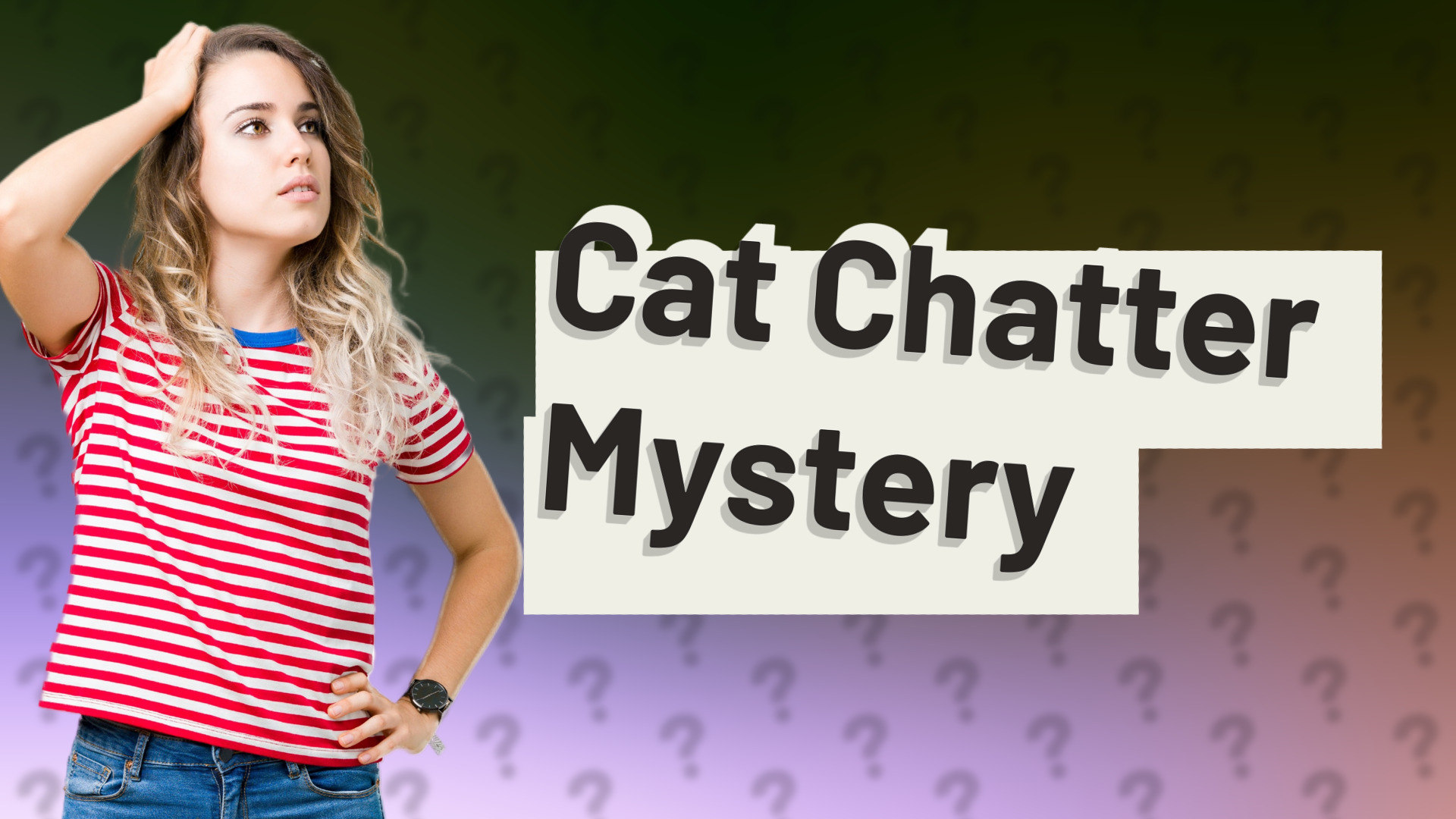 Cat Chatter Mystery