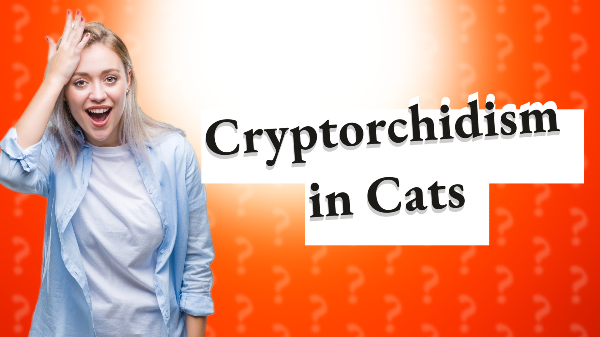 Cryptorchidism in Cats