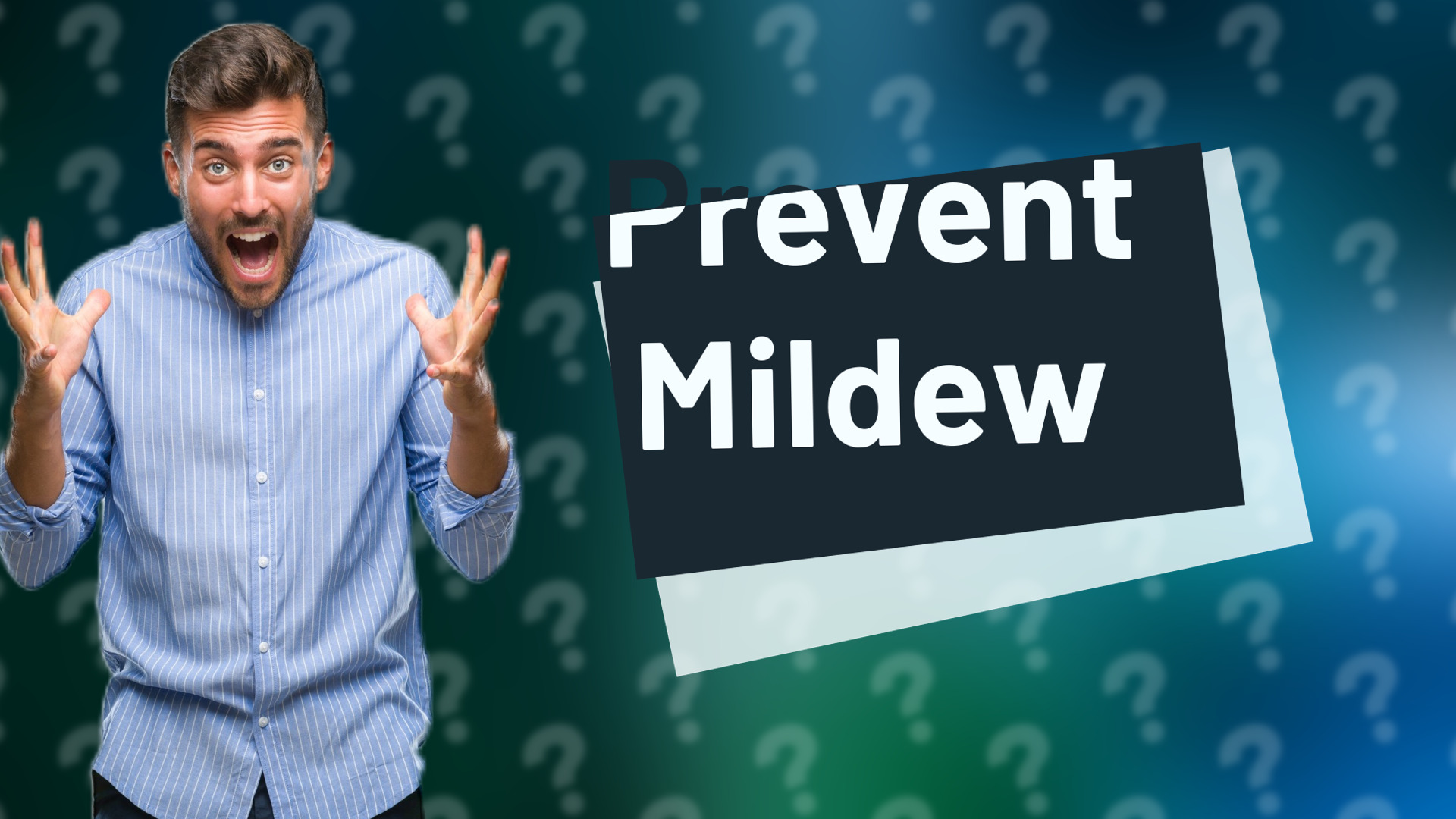 Prevent Mildew