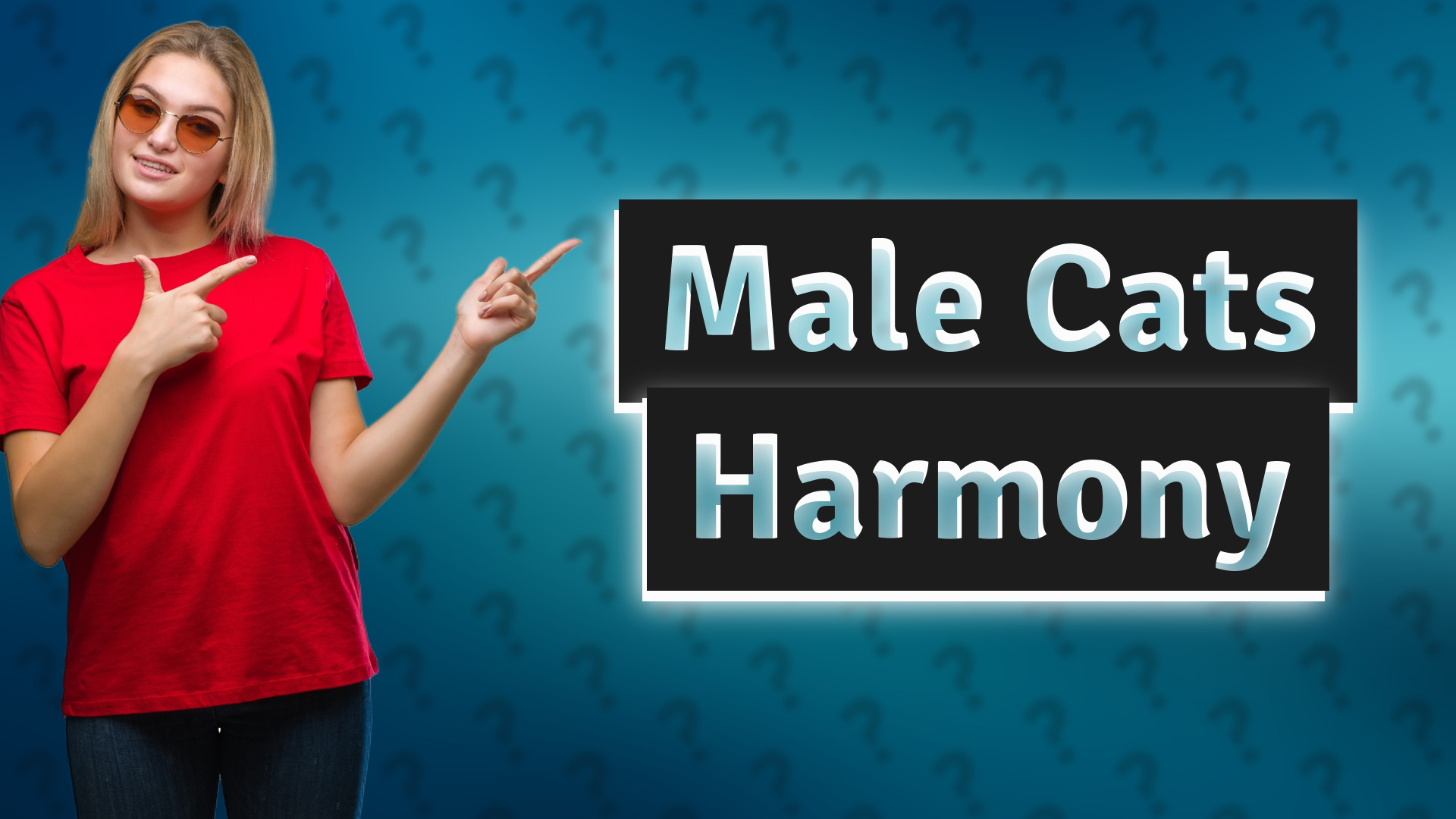 Male Cats Harmony
