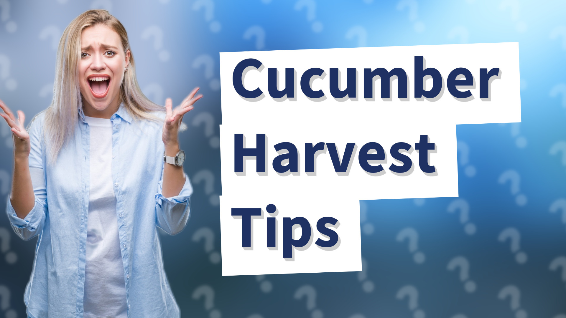 Cucumber Harvest Tips