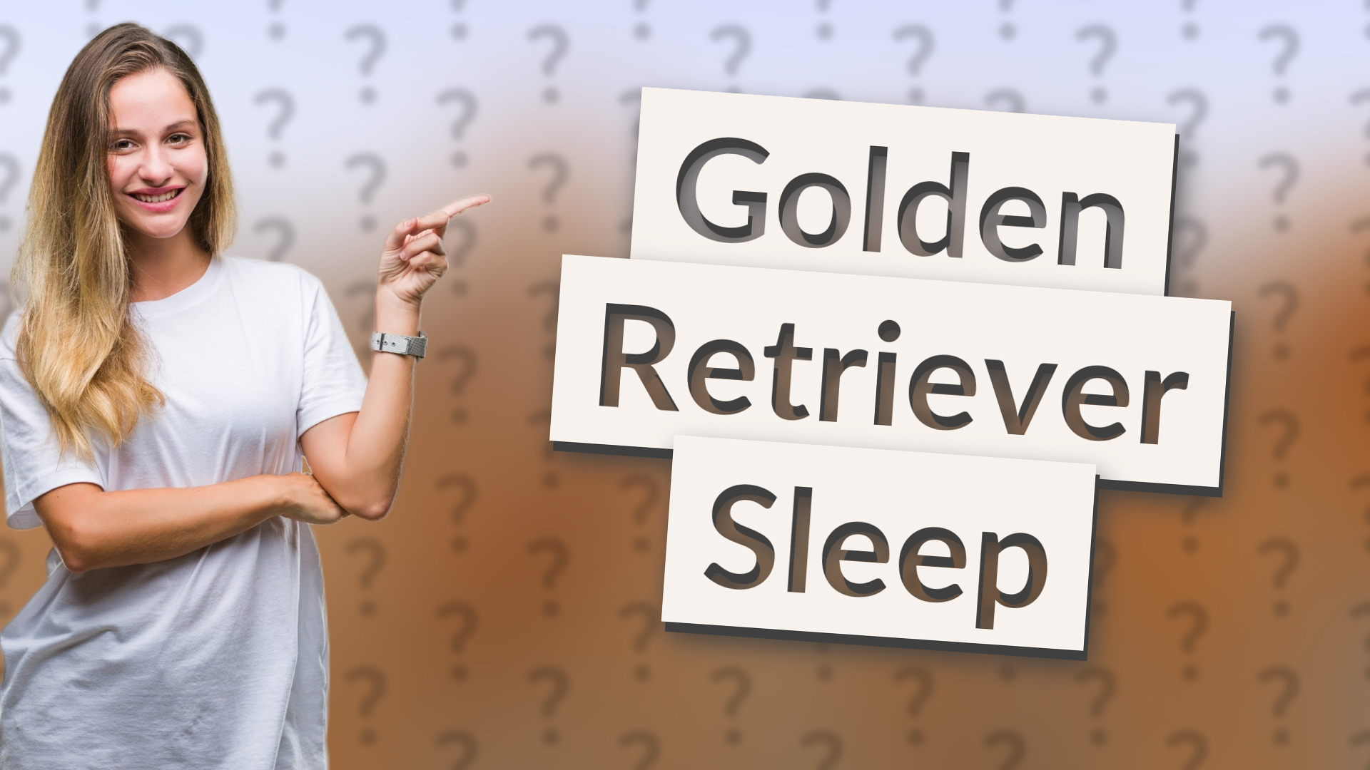 Golden Retriever Sleep