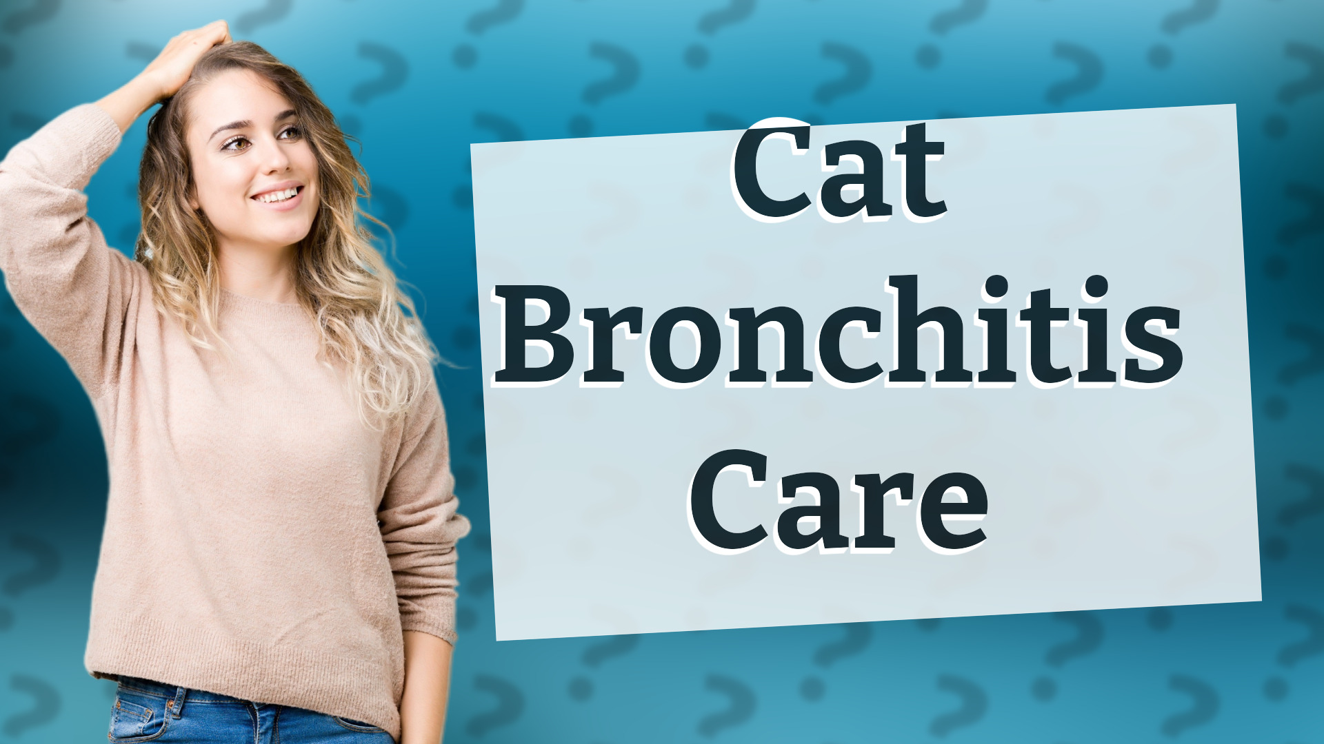 Cat Bronchitis Care