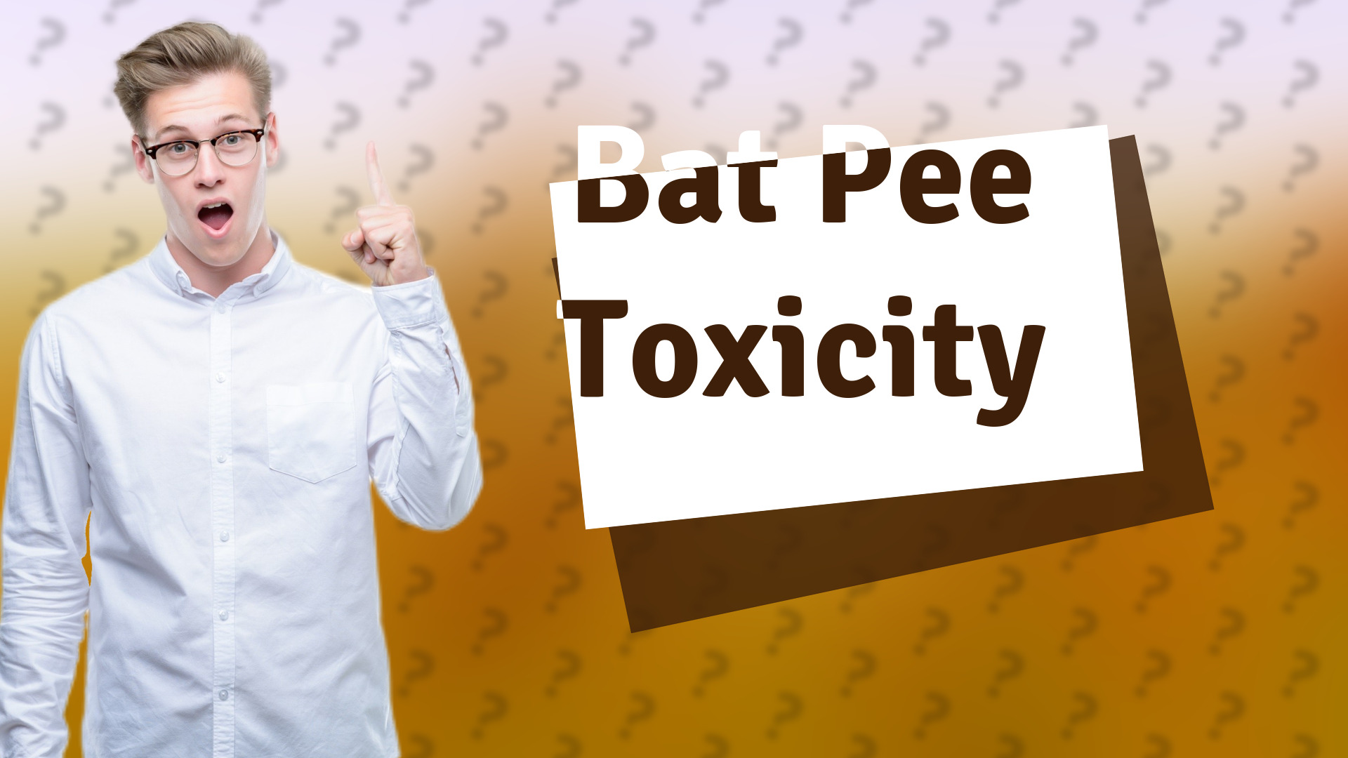 Bat Pee Toxicity