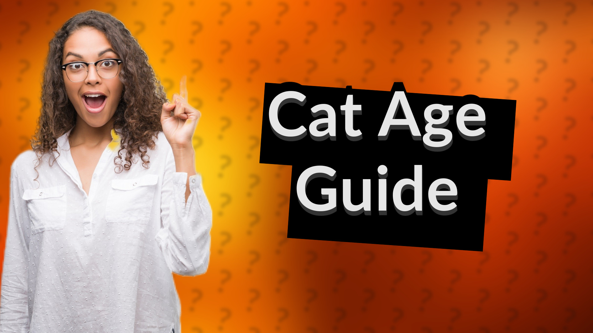 Cat Age Guide
