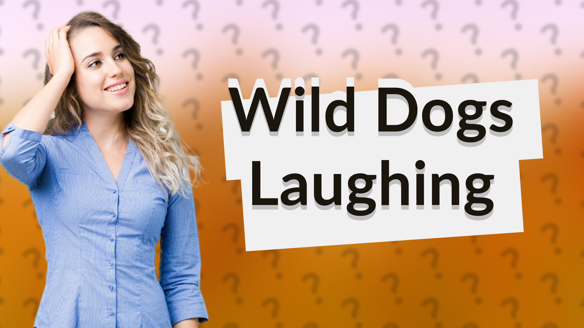 Wild Dogs Laughing