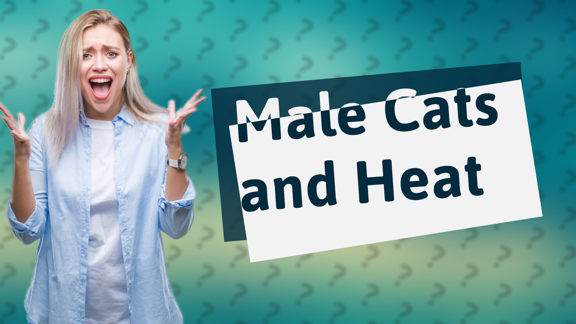 Male Cats and Heat