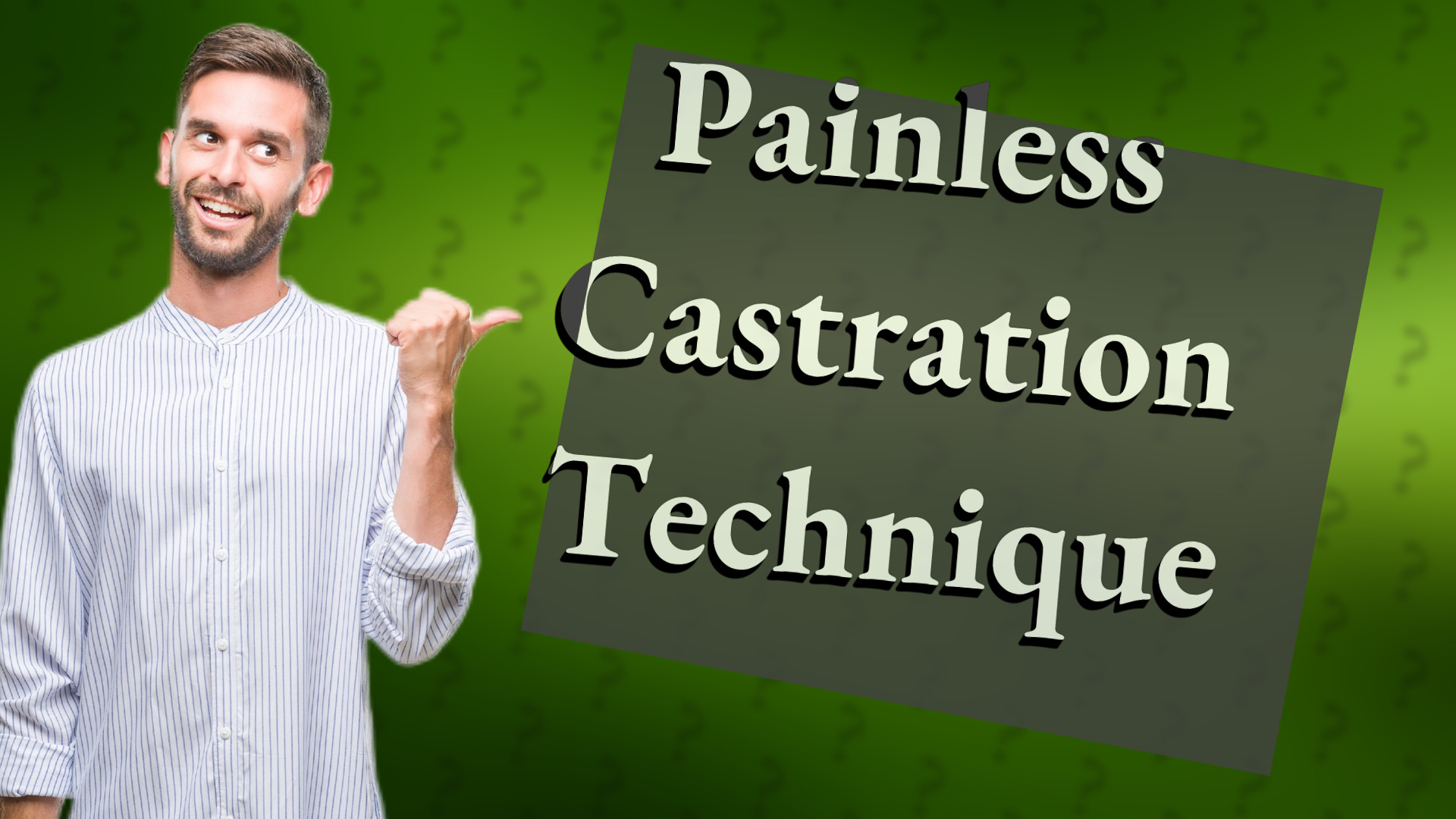 Painless Castration Technique