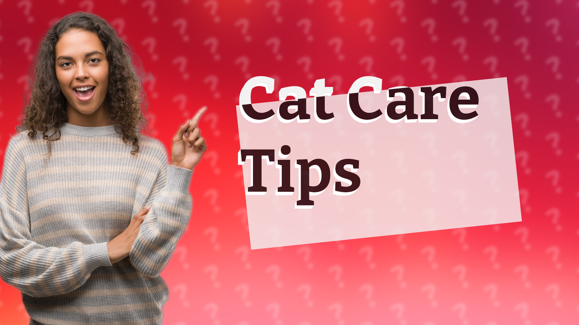 Cat Care Tips