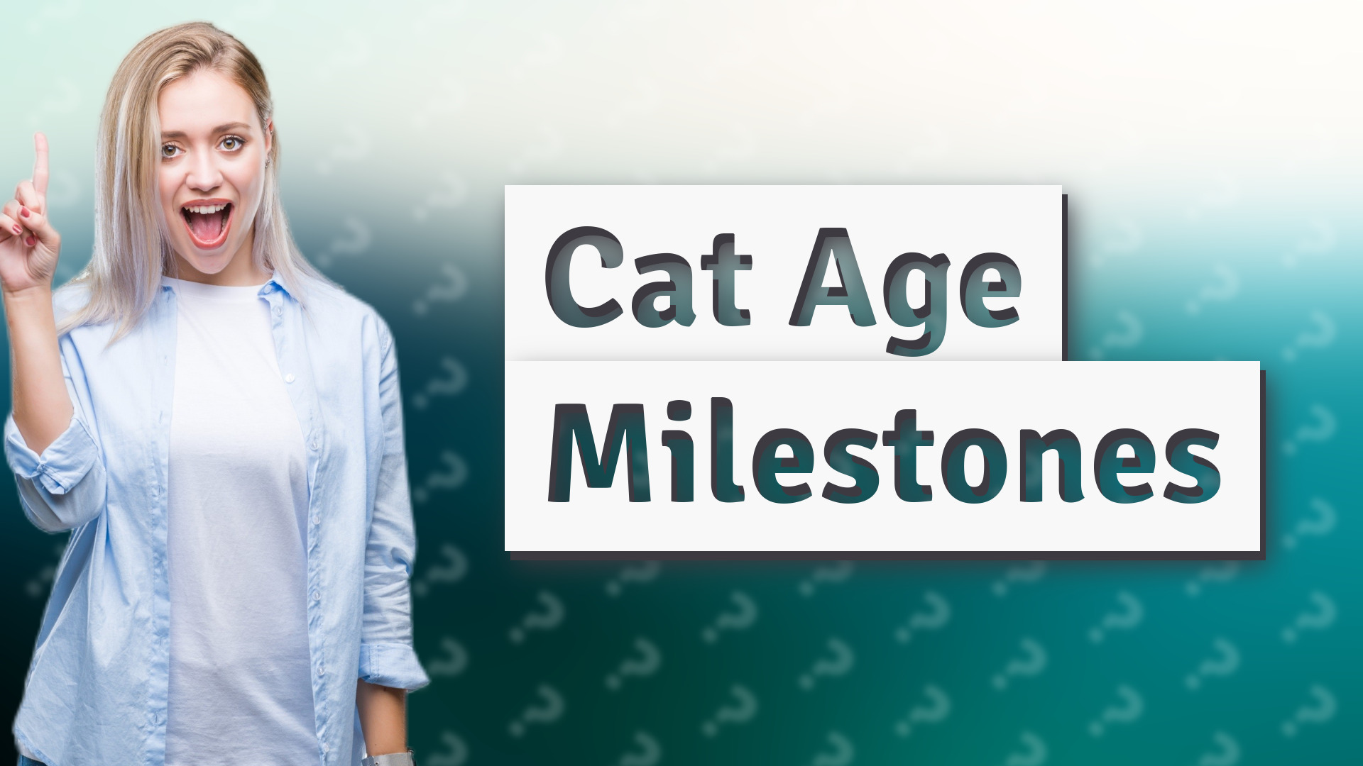 Cat Age Milestones