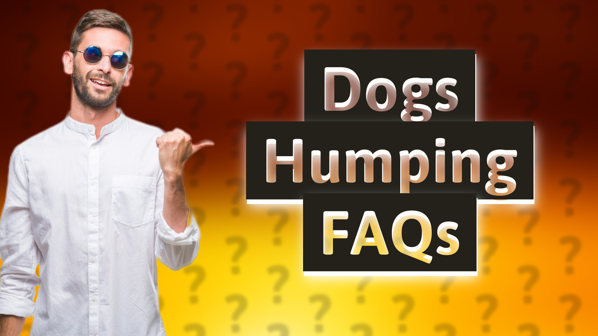 Dogs Humping FAQs