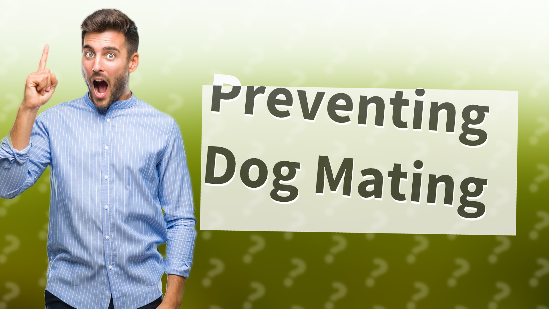 Preventing Dog Mating