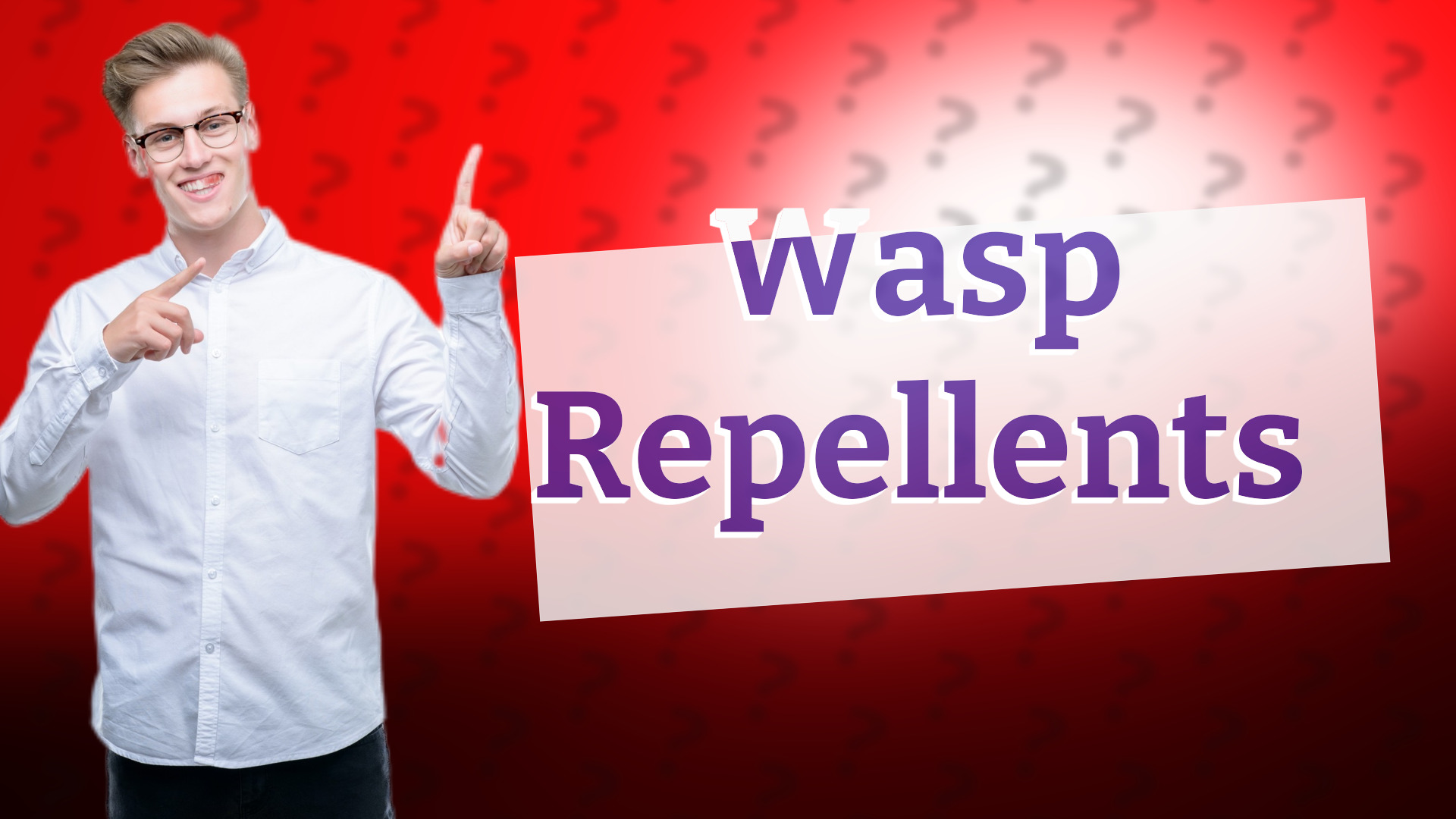 Wasp Repellents