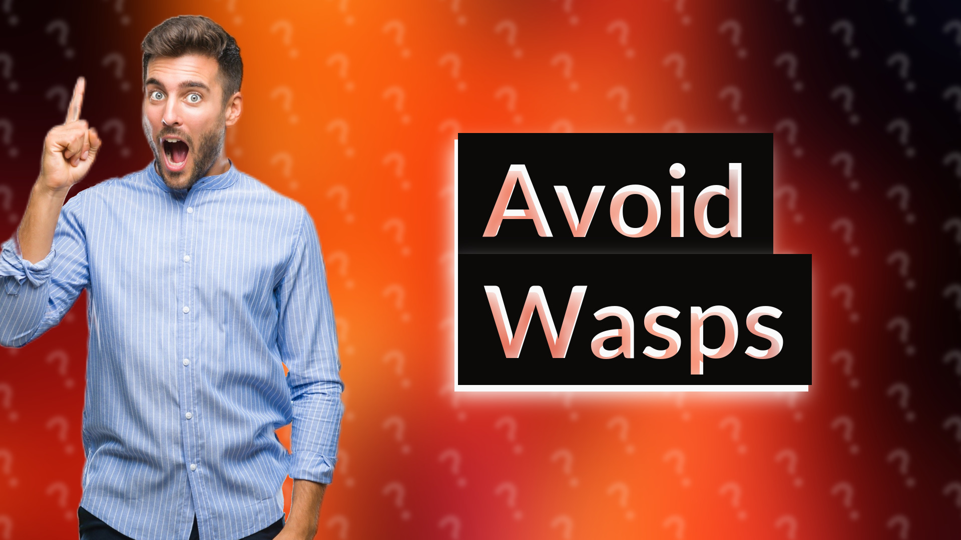 Avoid Wasps