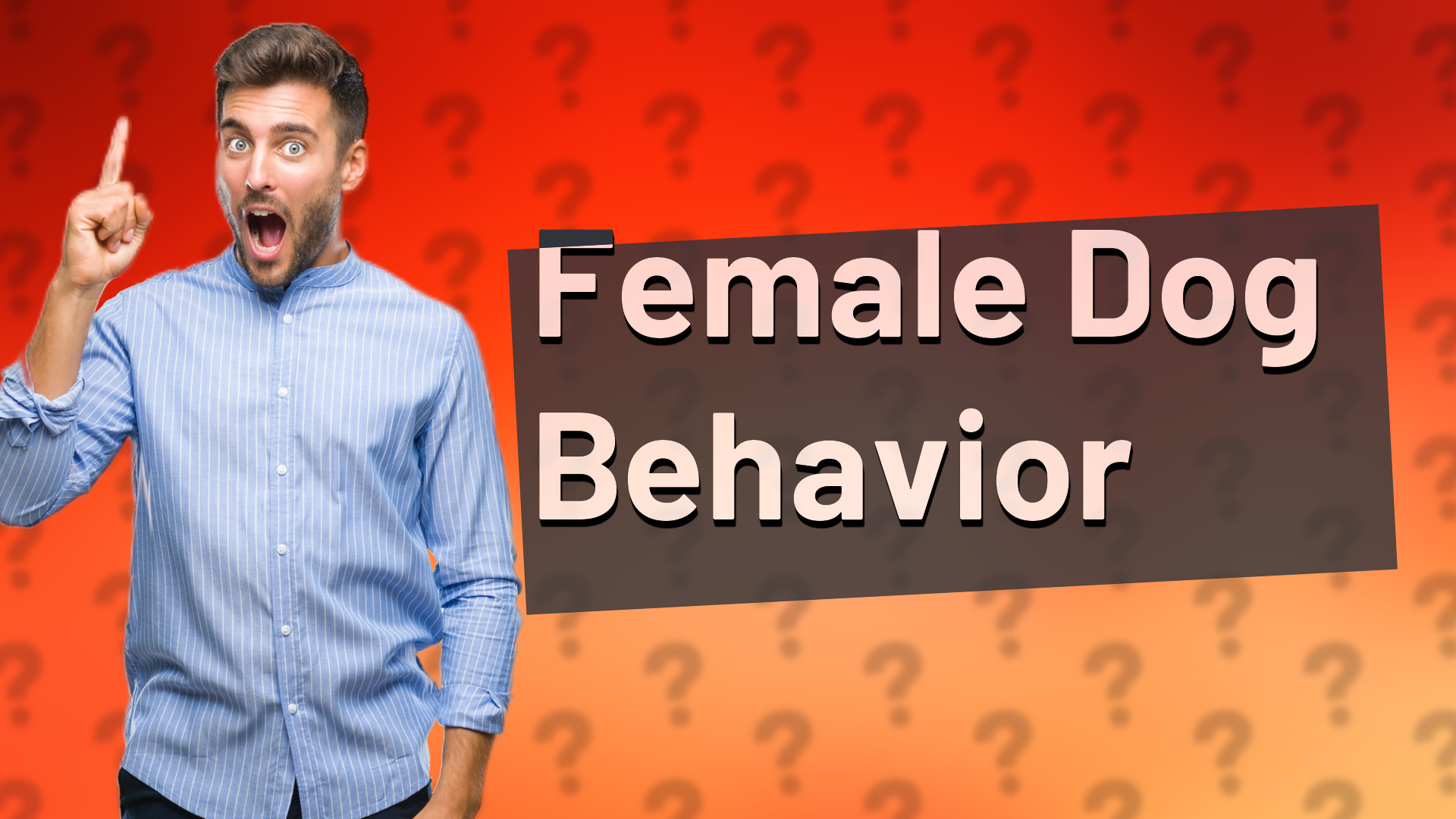 Female Dog Behavior