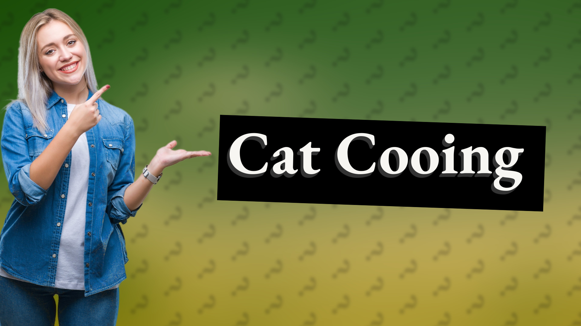 Cat Cooing