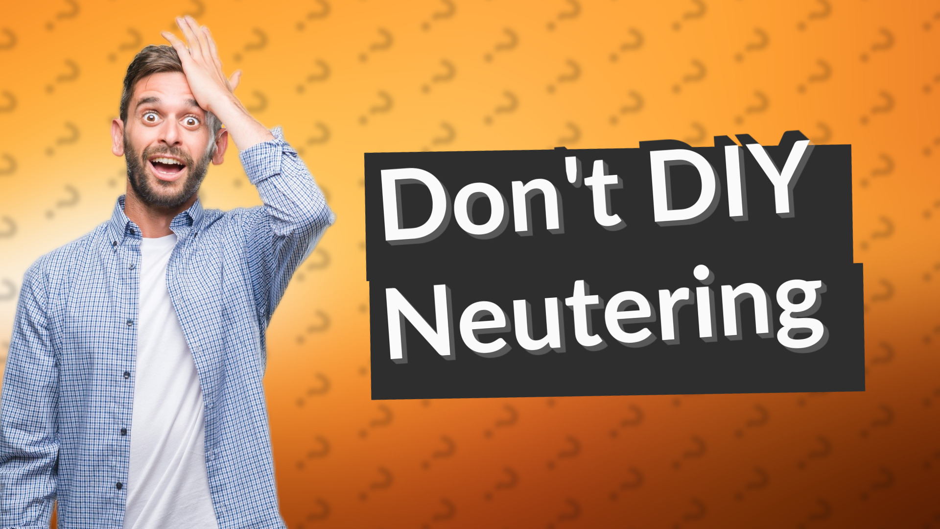 Don't DIY Neutering