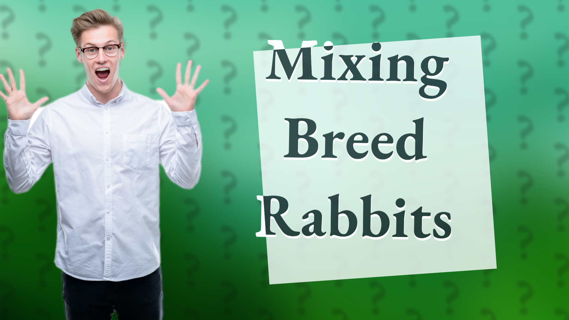 Mixing Breed Rabbits