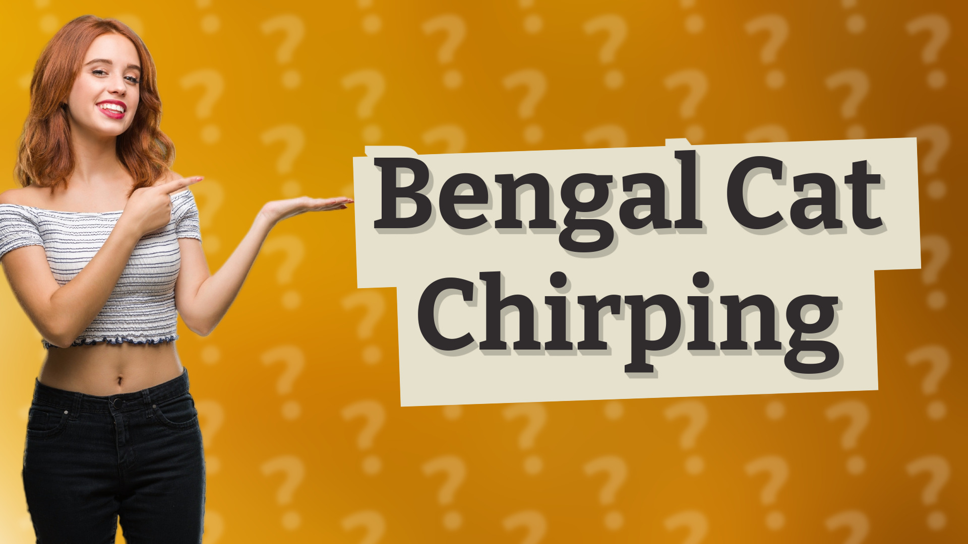 Bengal Cat Chirping