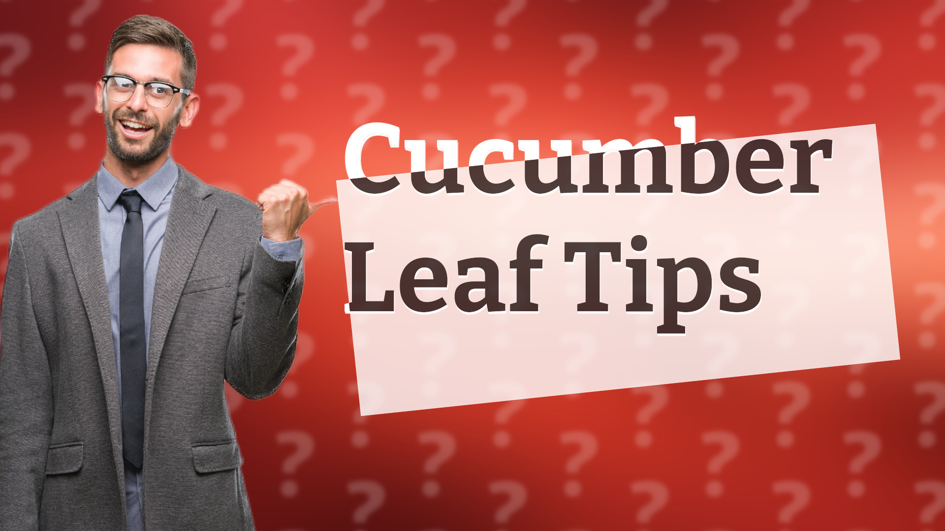 Cucumber Leaf Tips