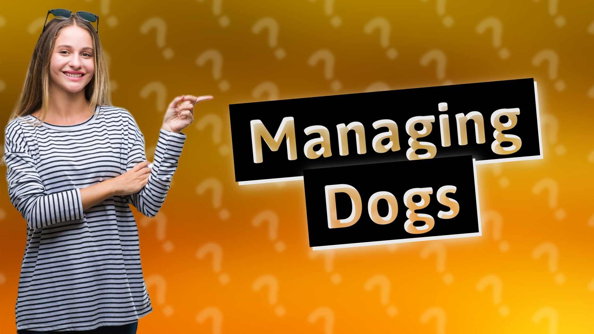 Managing Dogs