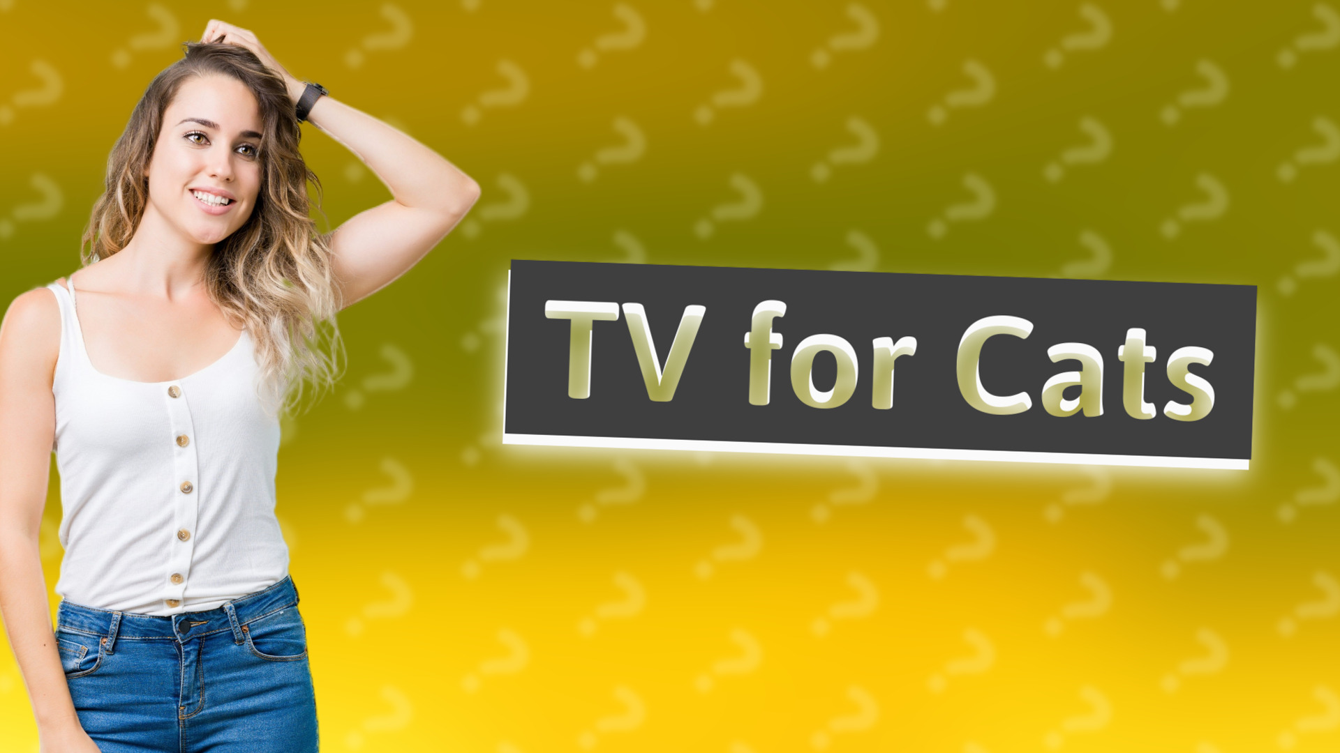 TV for Cats