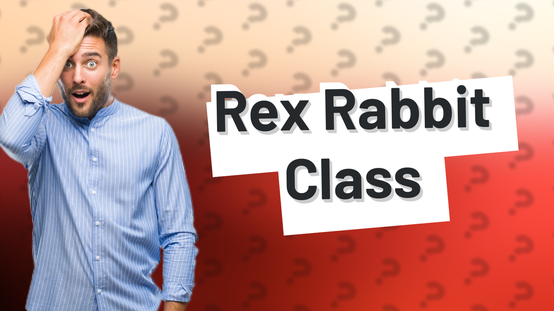 Rex Rabbit Class