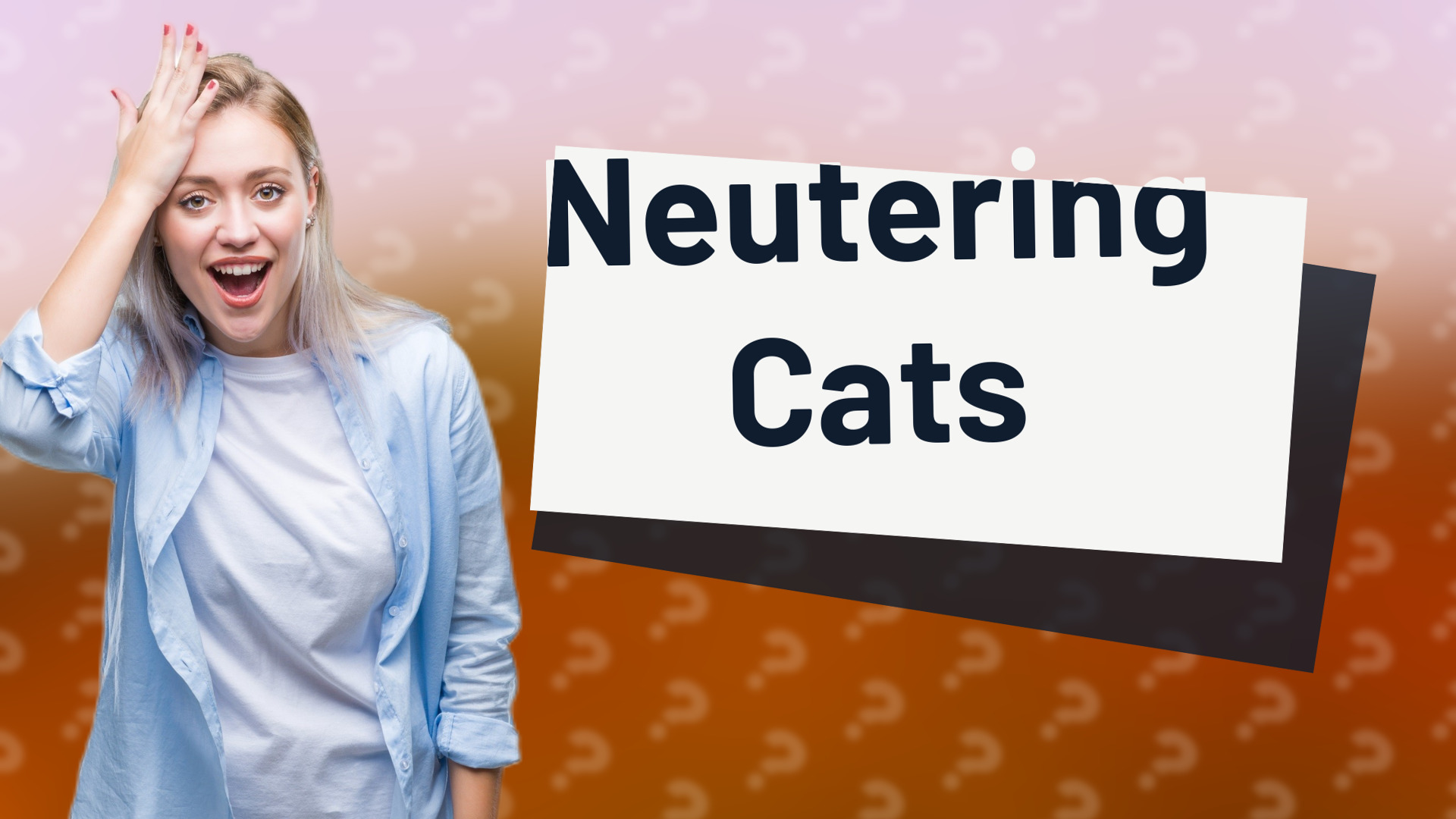 Neutering Cats
