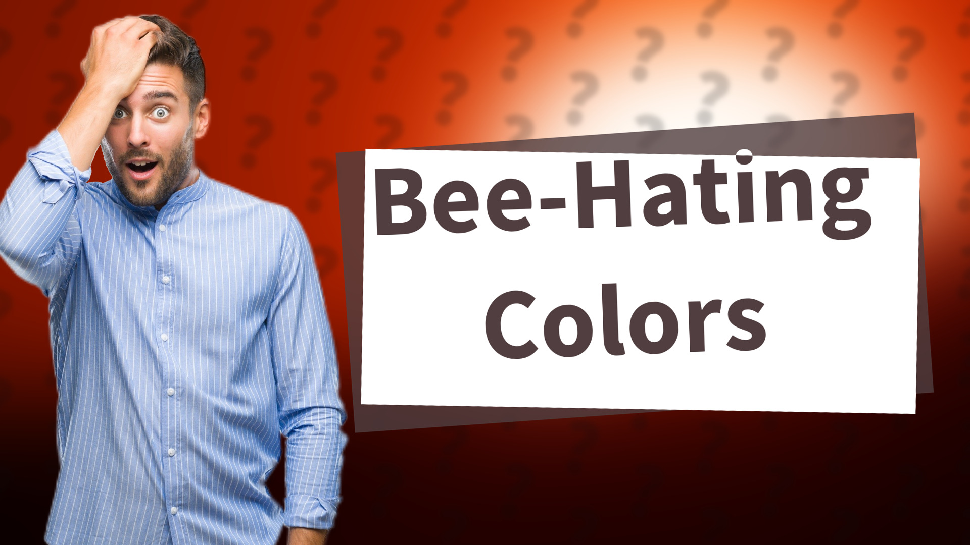 Bee-Hating Colors