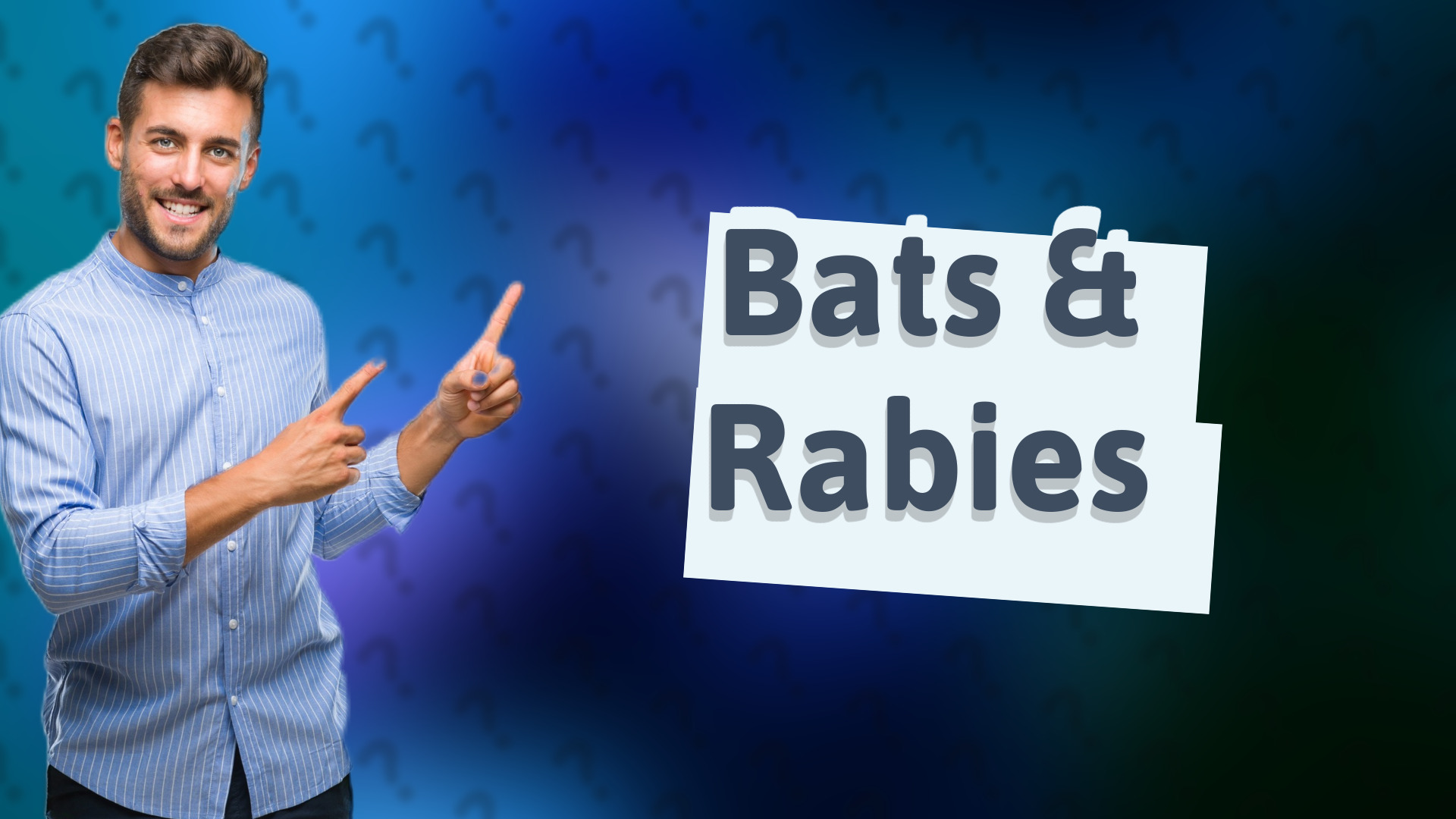 Bats & Rabies