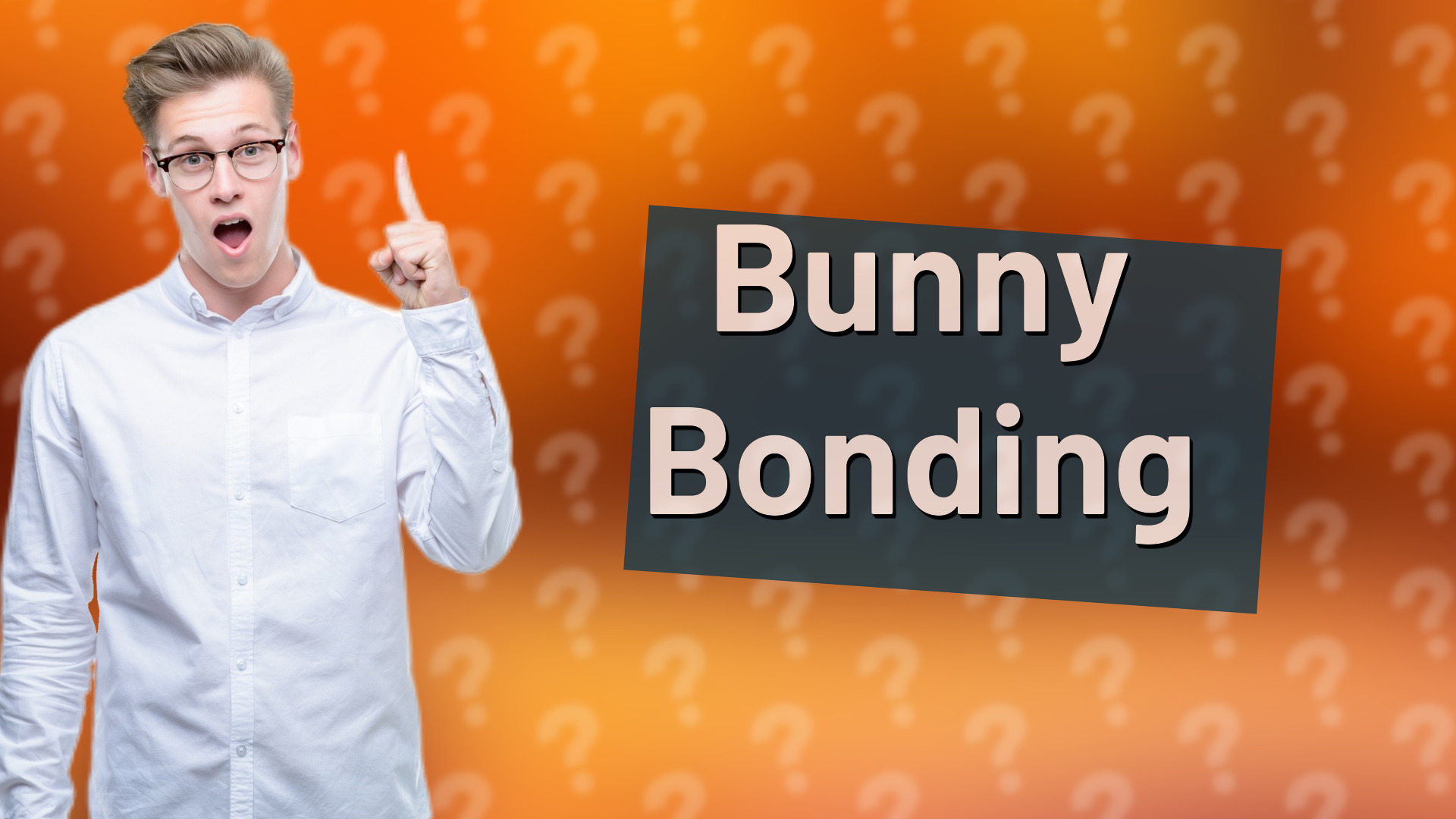 Bunny Bonding