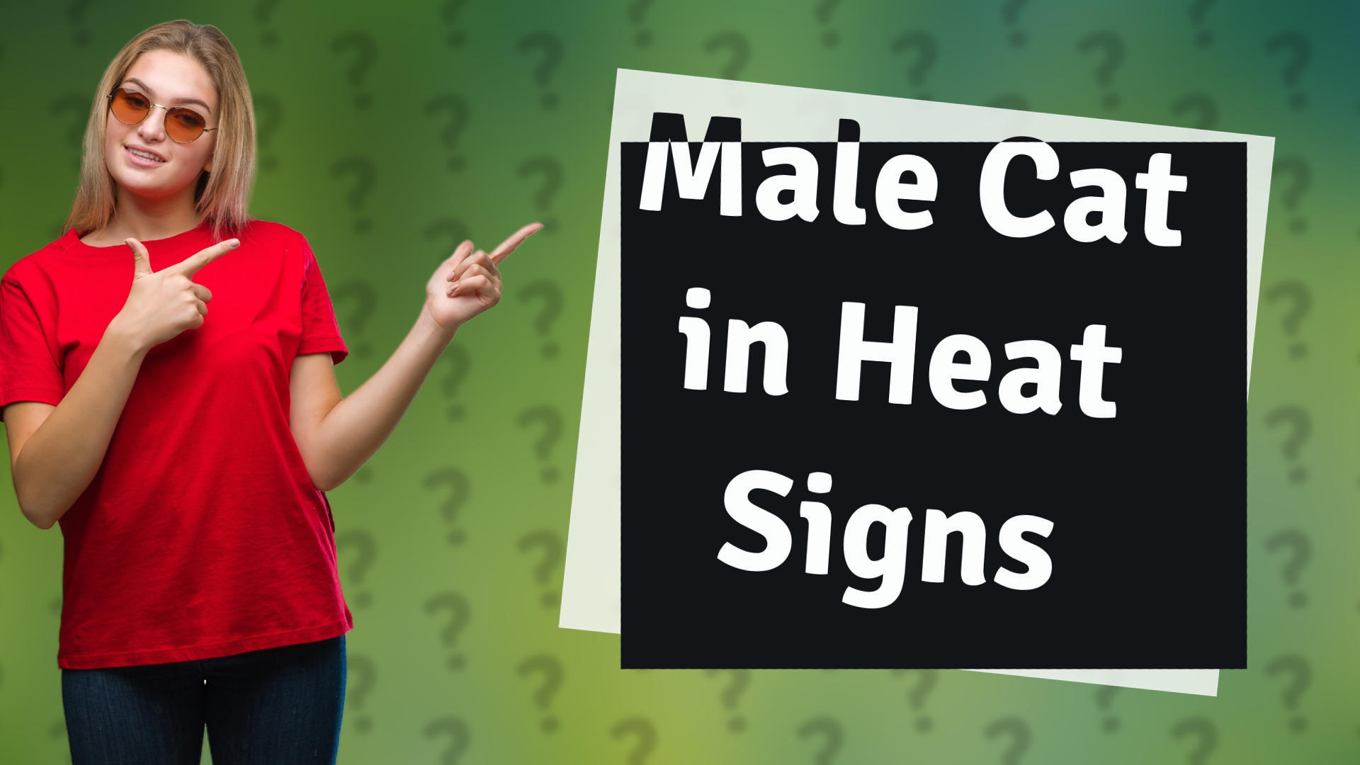 Male Cat in Heat Signs