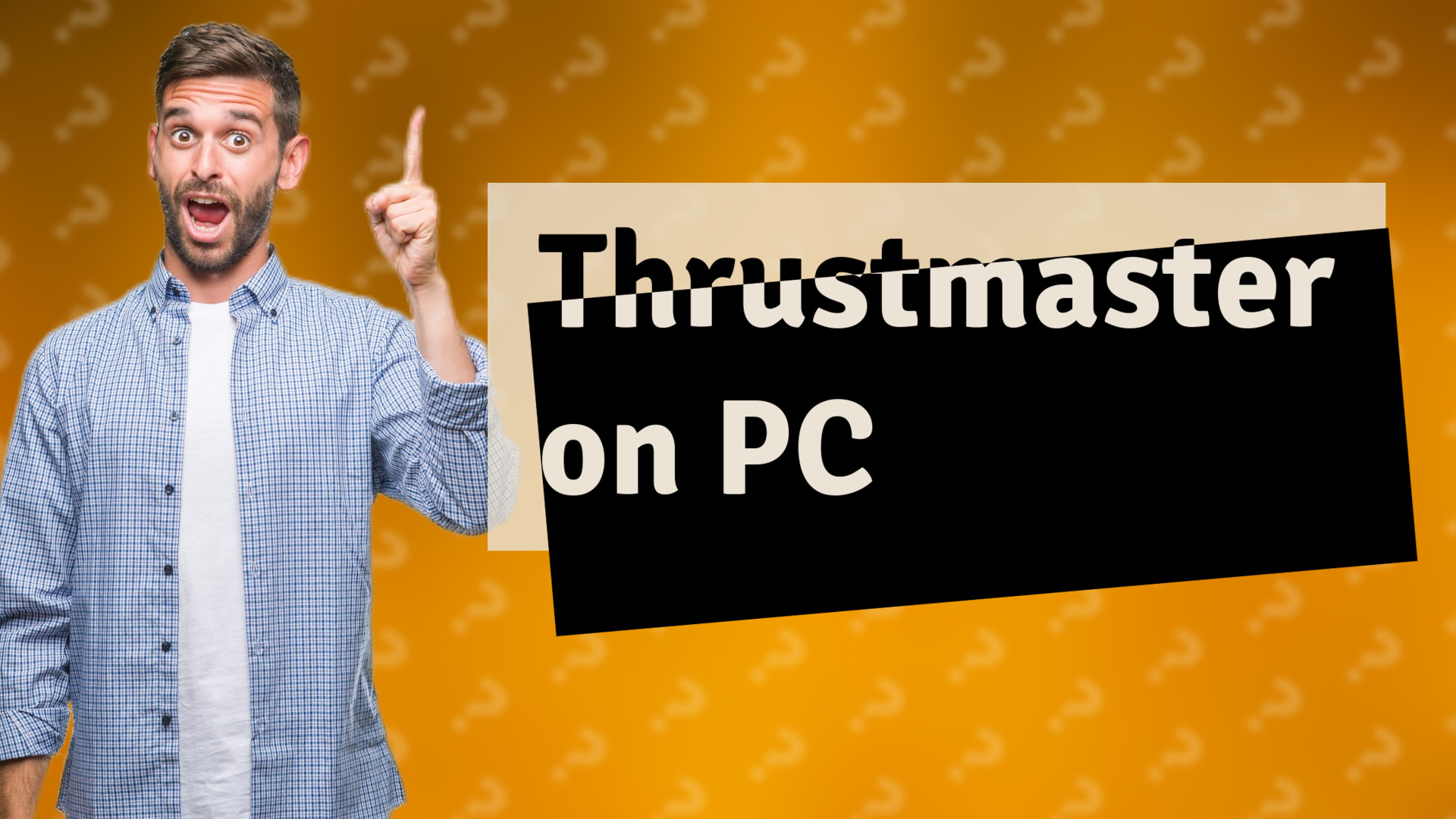 Thrustmaster on PC