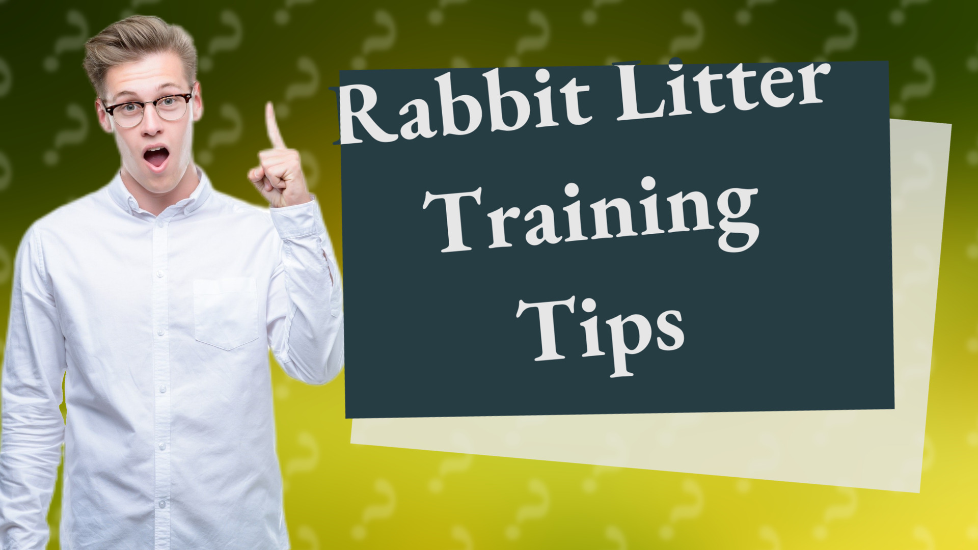 Rabbit Litter Training Tips