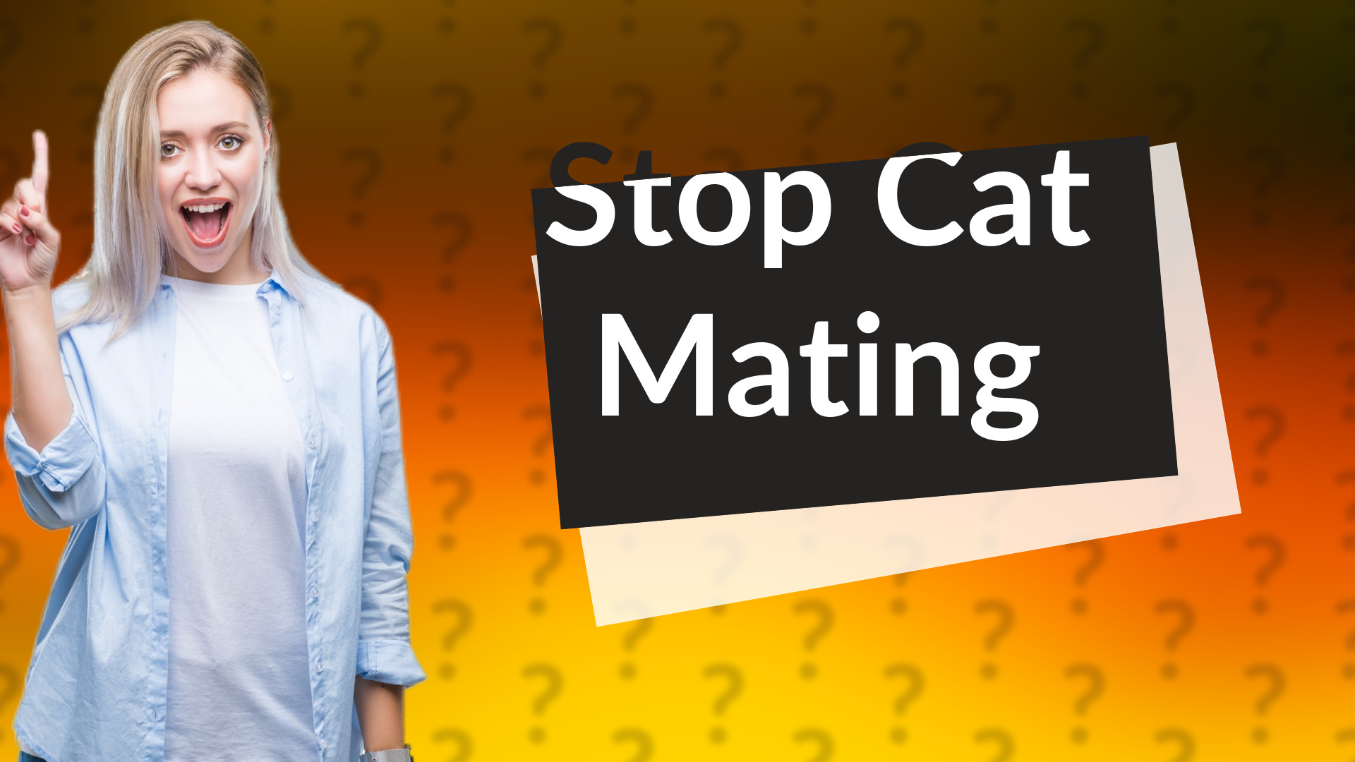 Stop Cat Mating