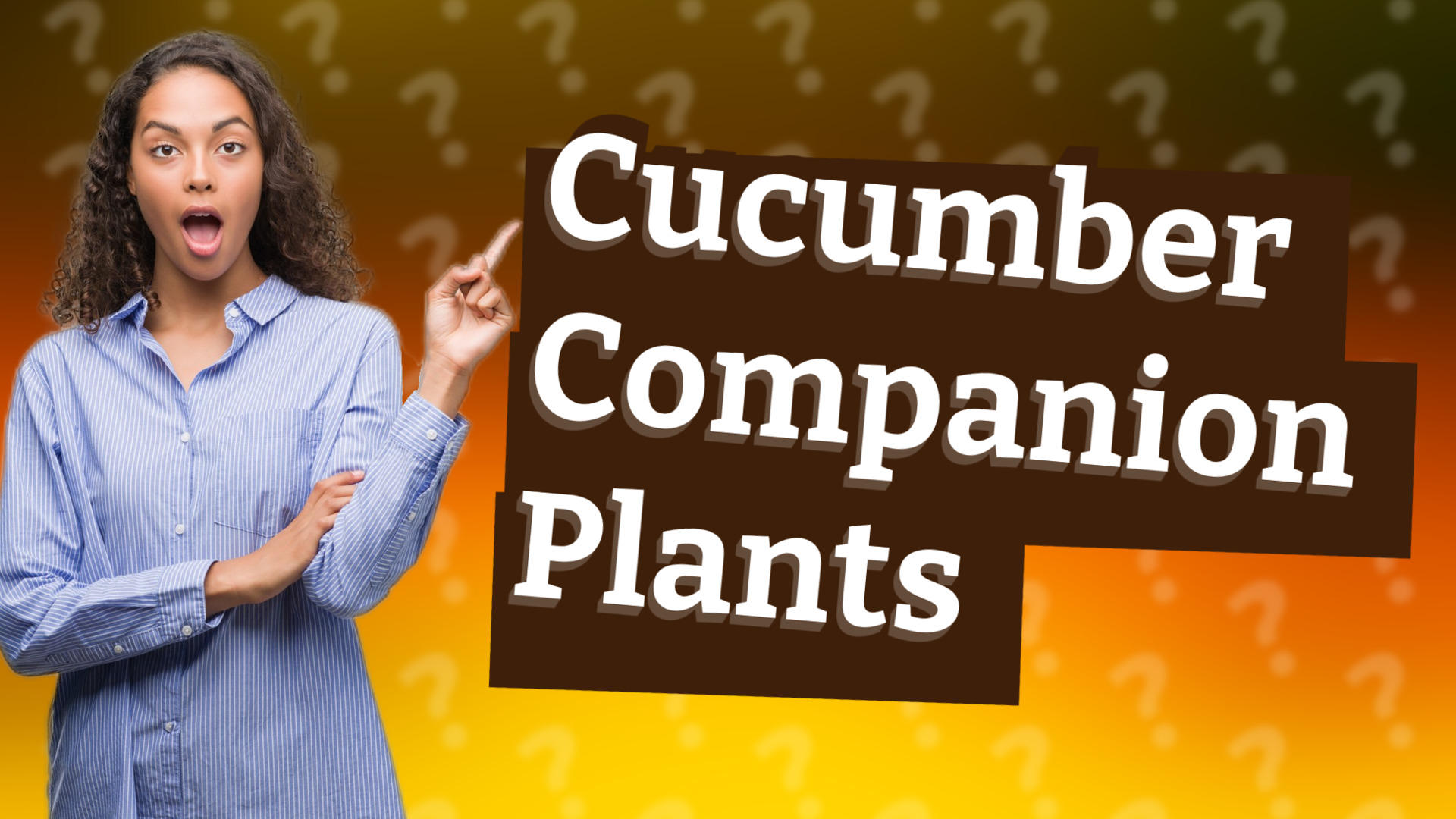 Cucumber Companion Plants