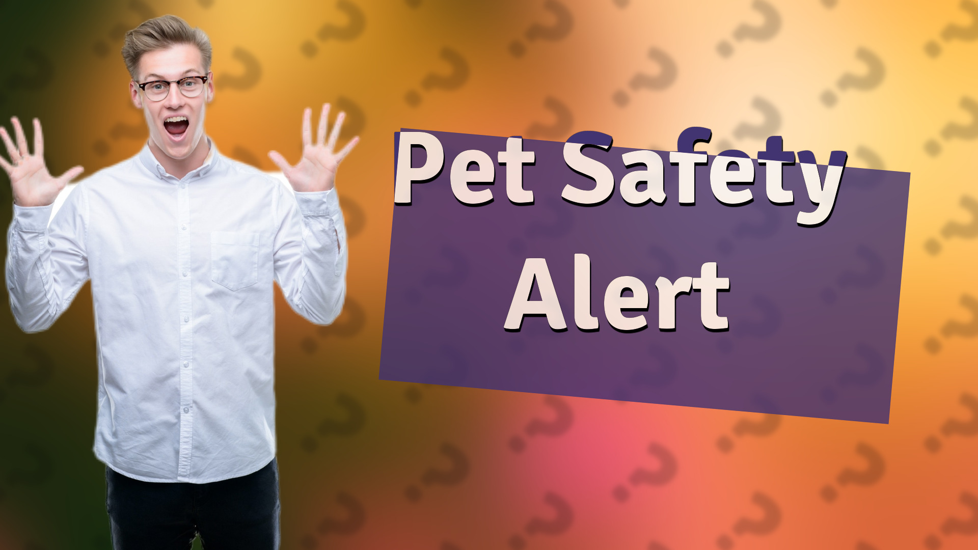 Pet Safety Alert