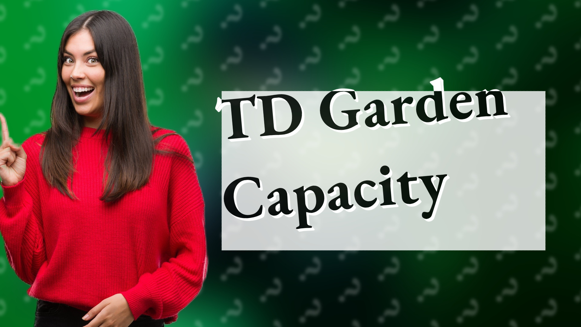 TD Garden Capacity