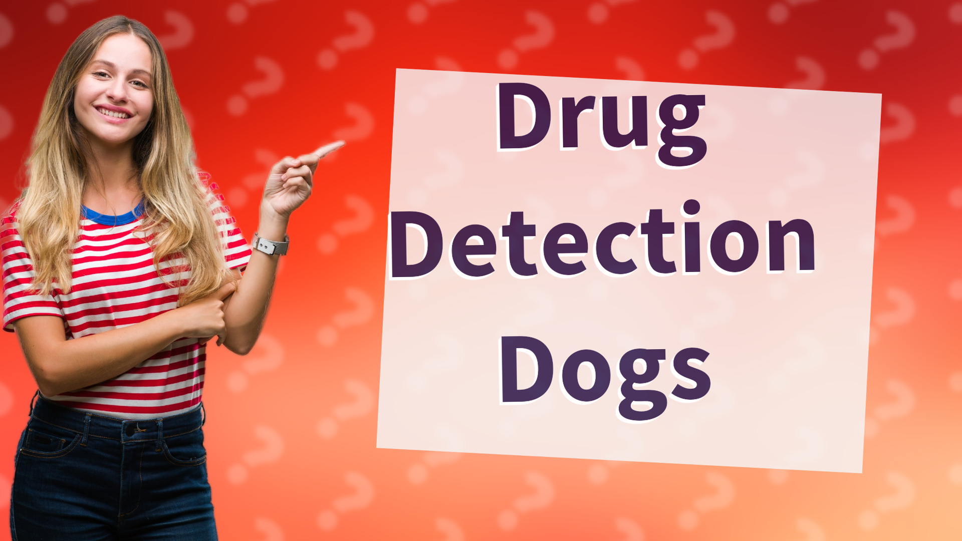 Drug Detection Dogs
