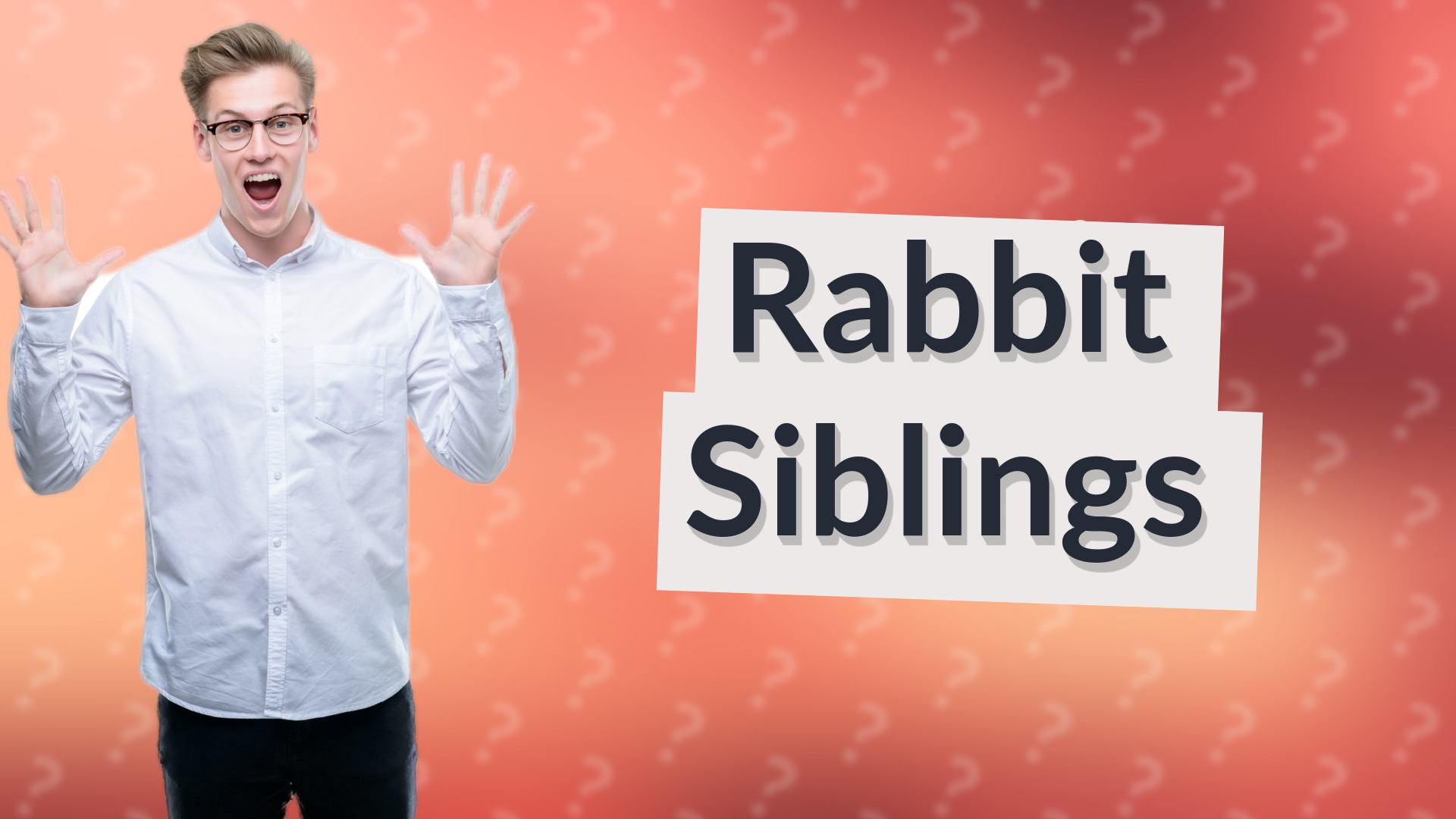 Rabbit Siblings