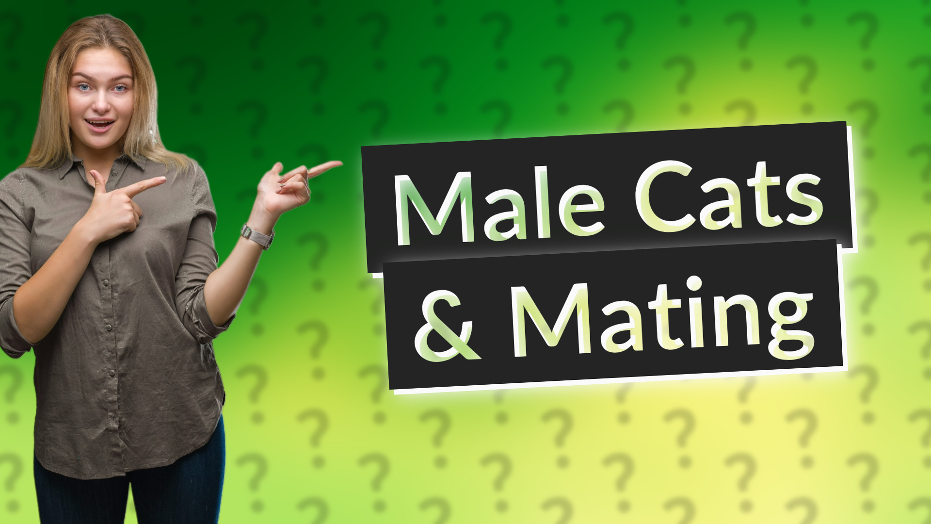 Male Cats & Mating
