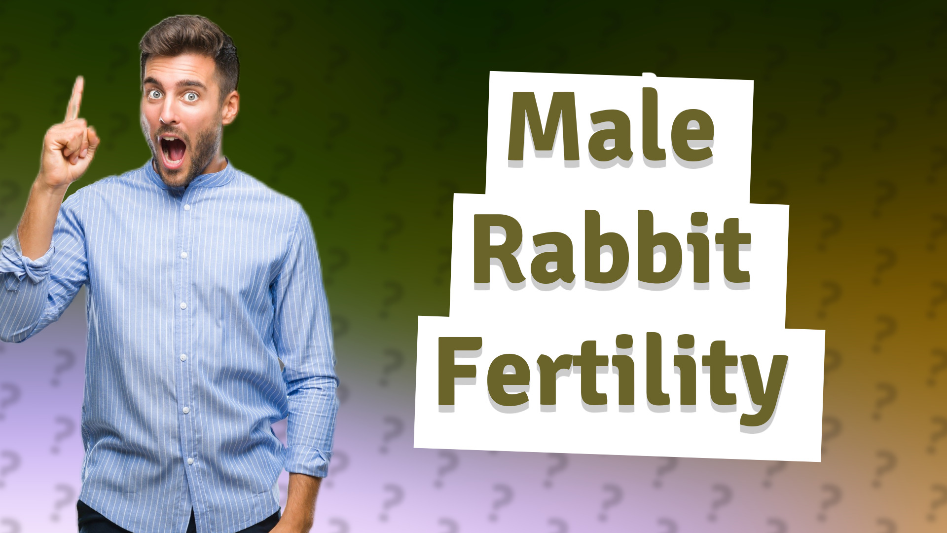 Male Rabbit Fertility