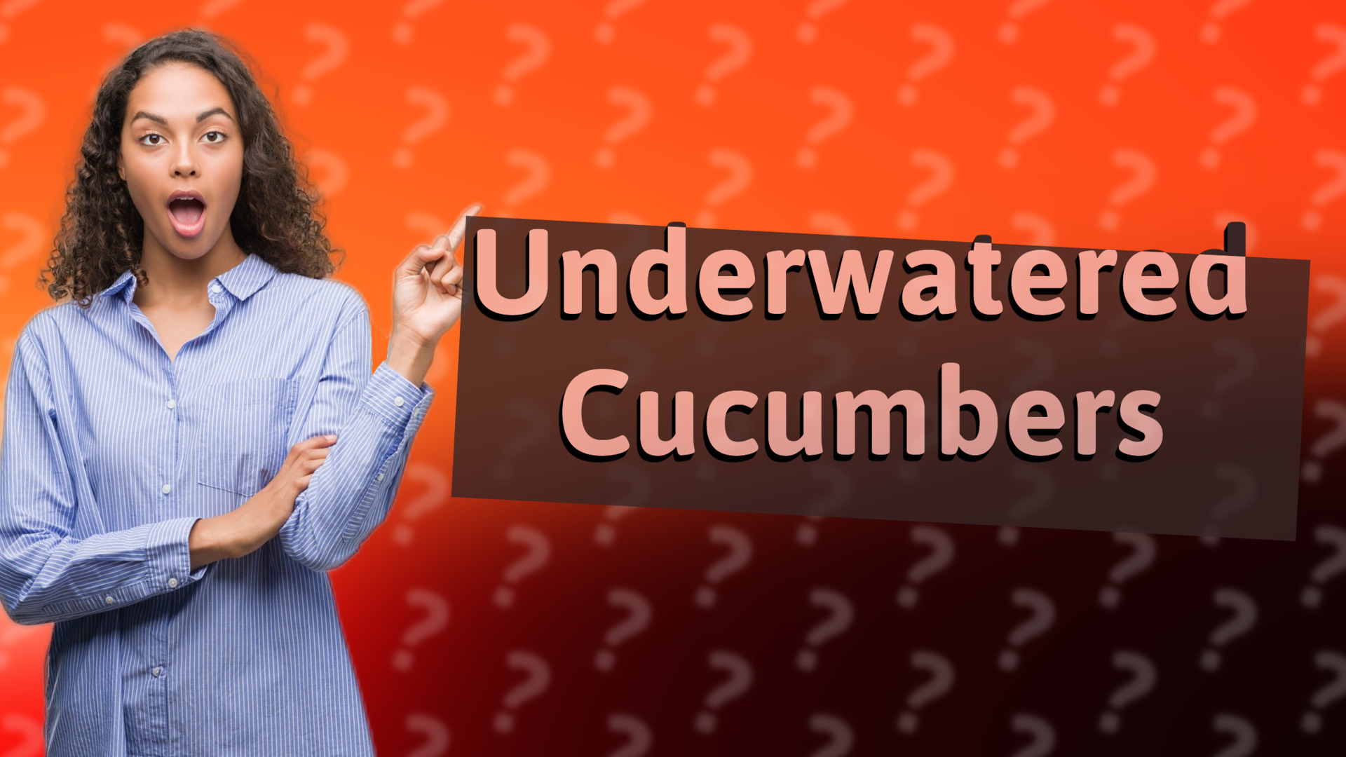 Underwatered Cucumbers