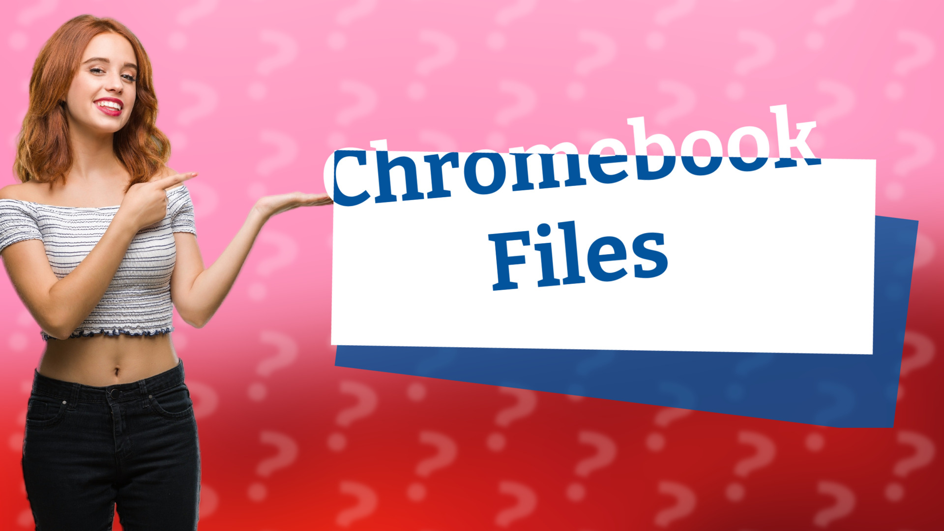 Chromebook Files