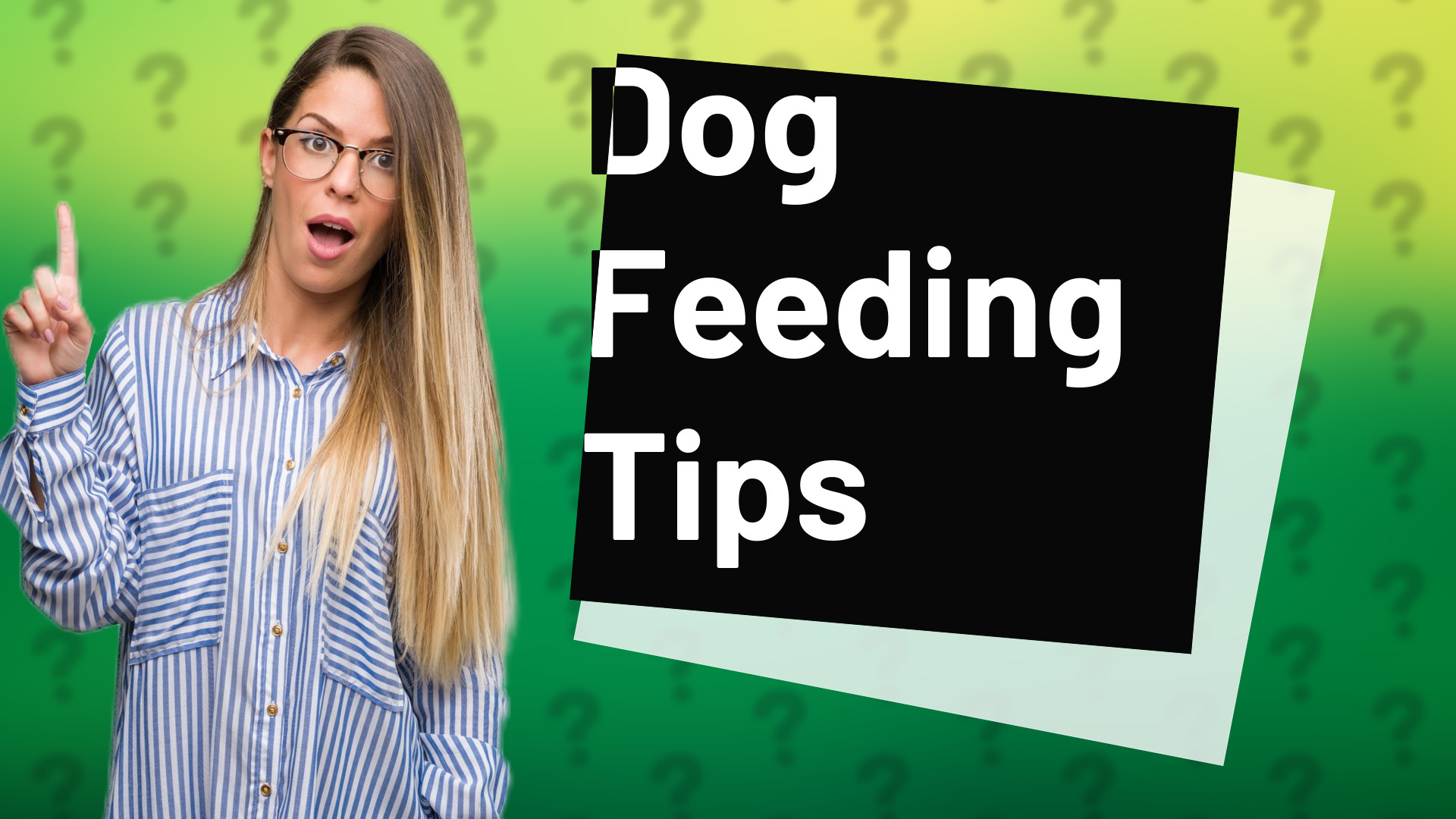 Dog Feeding Tips