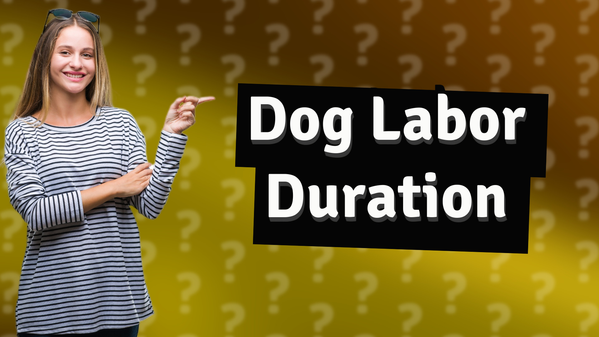 Dog Labor Duration