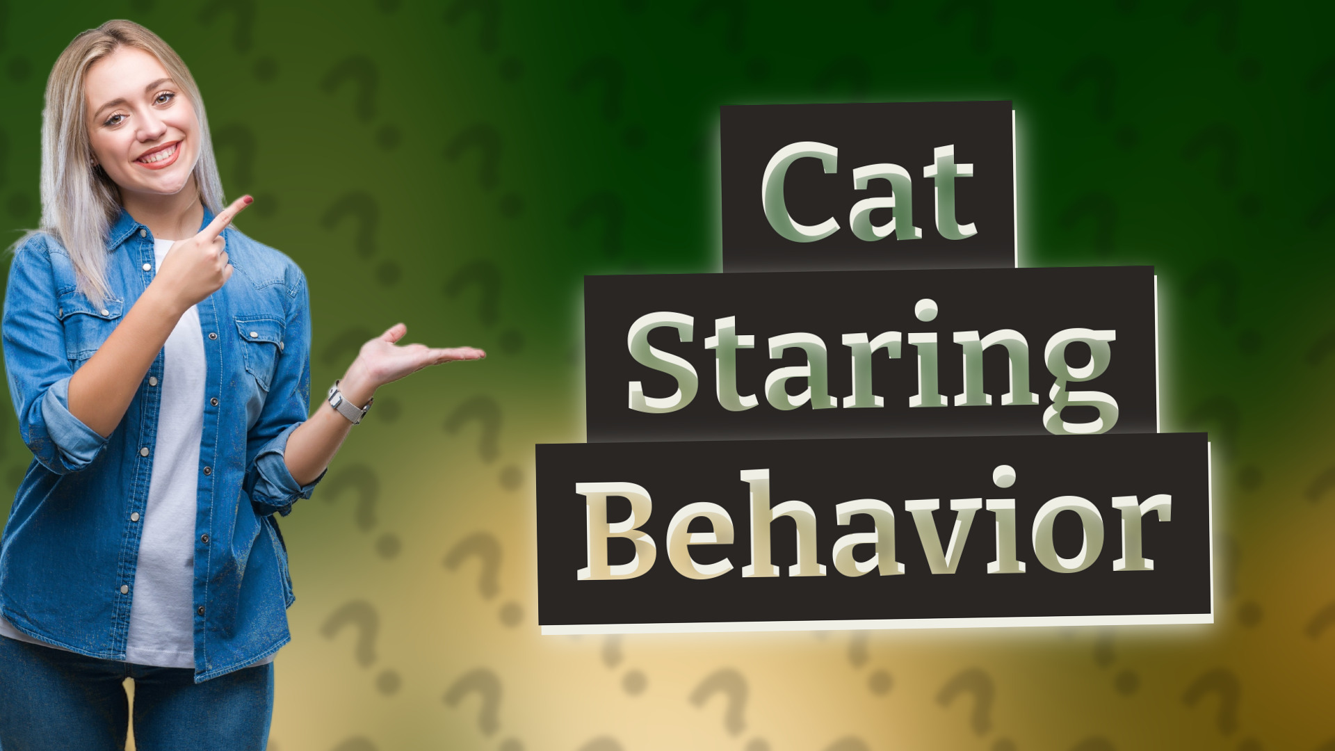 Cat Staring Behavior
