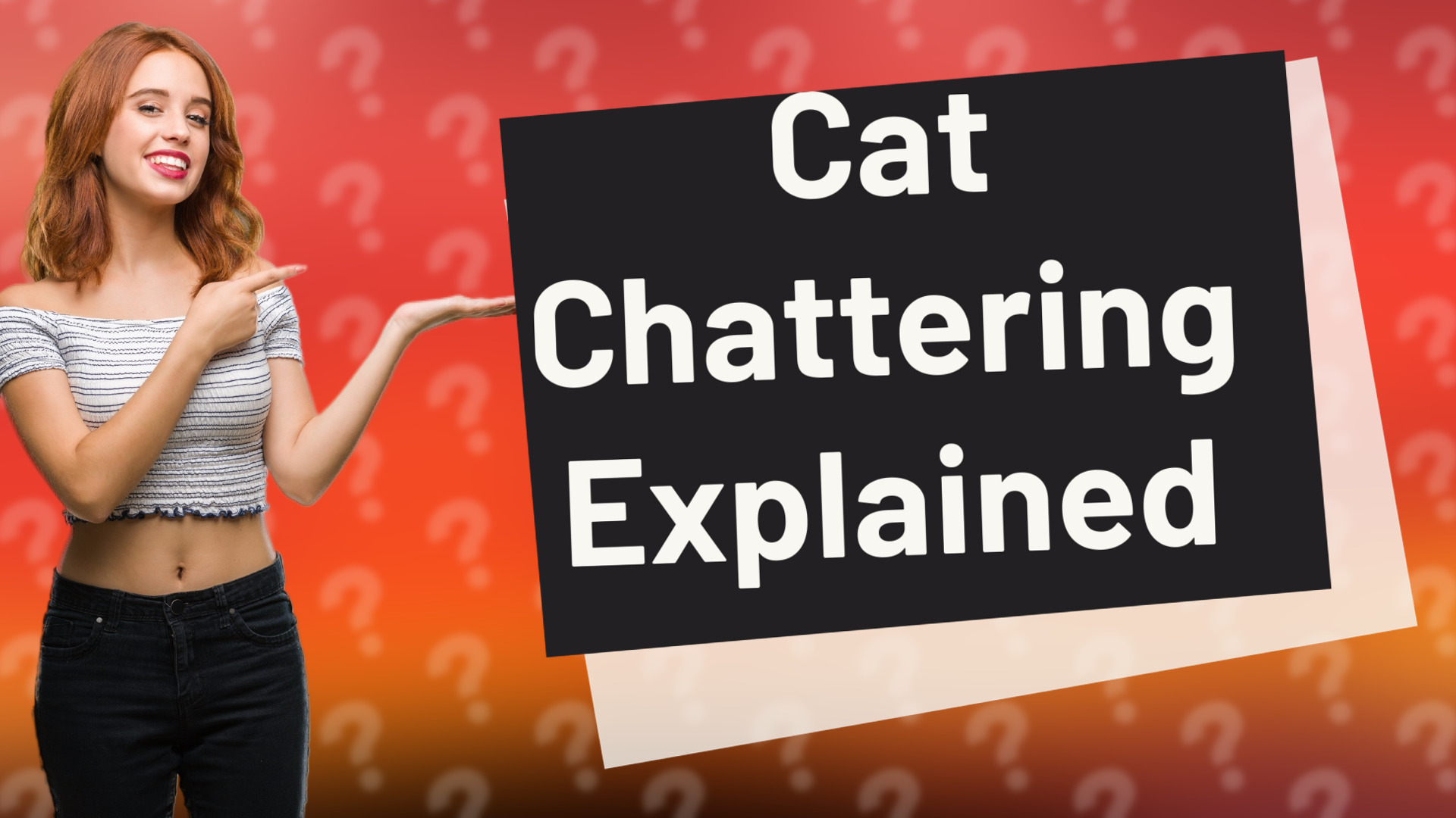 Cat Chattering Explained