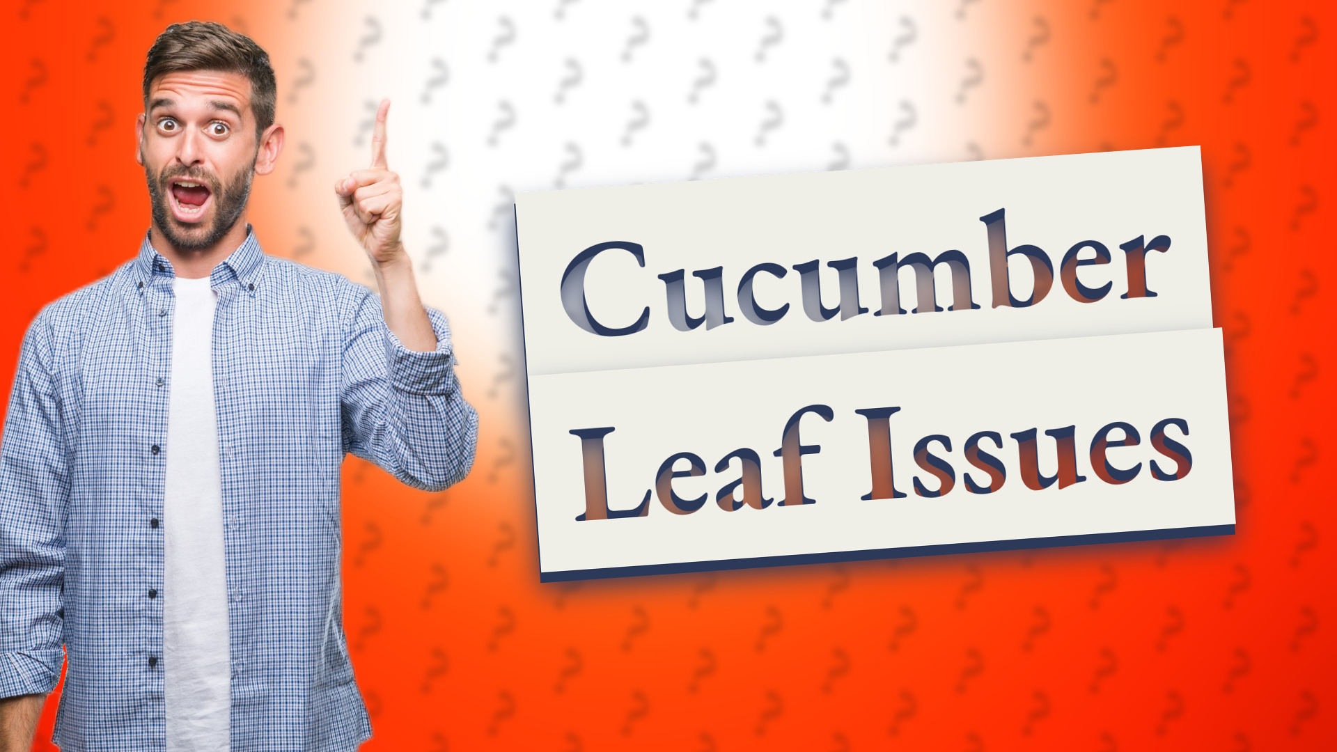 Cucumber Leaf Issues