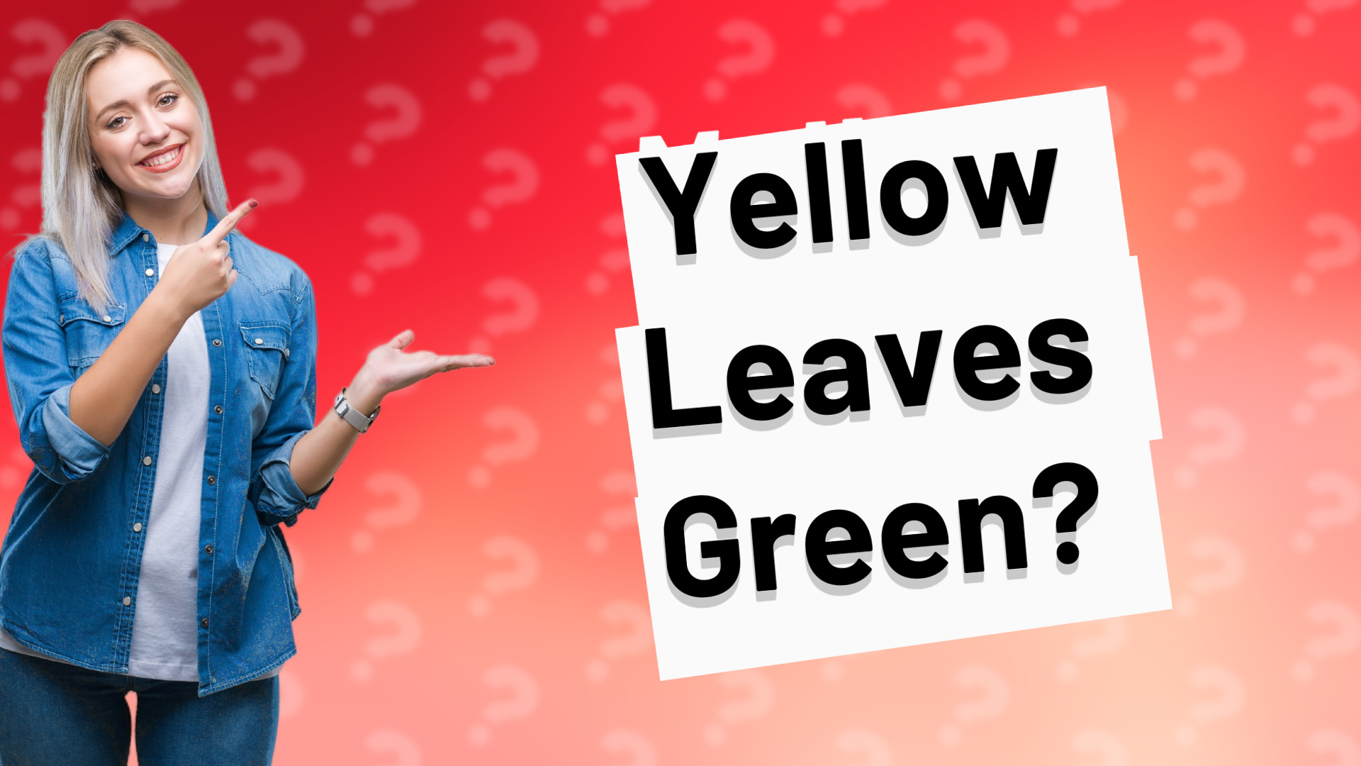 Yellow Leaves Green?